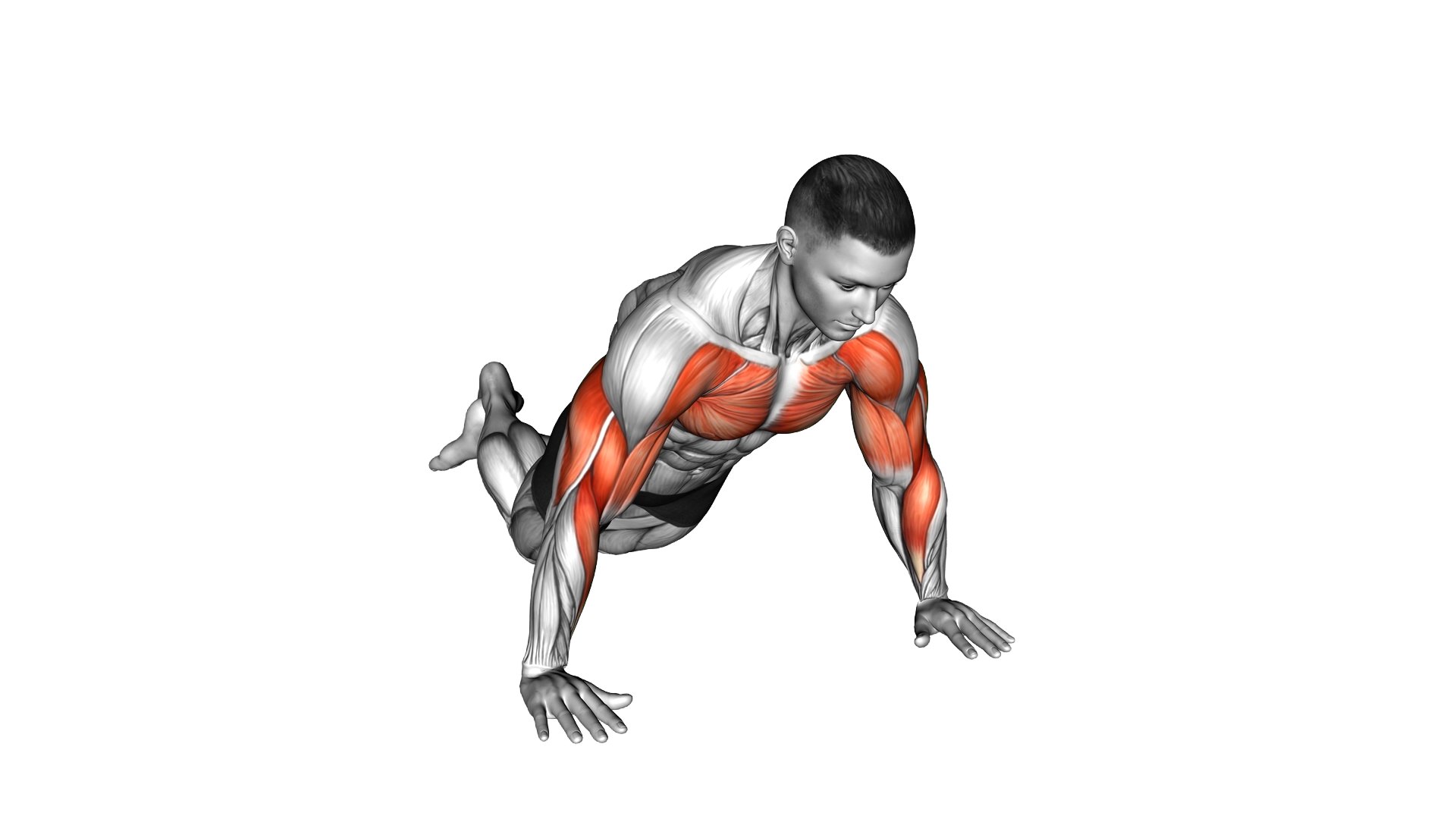 Kneeling Shoulder Tap Push Up exercise demonstration