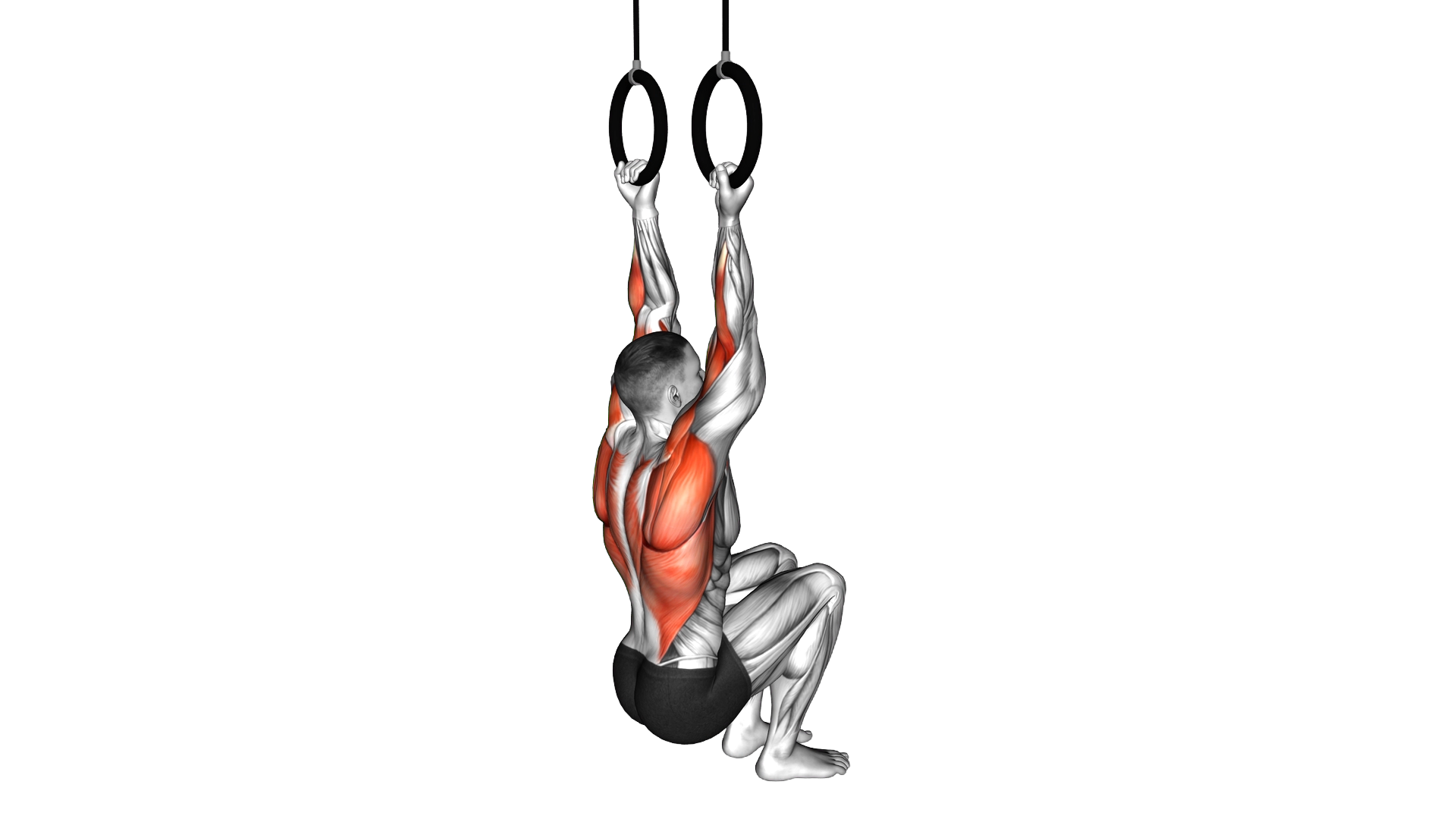 Ring Self Assisted Chin Up exercise demonstration