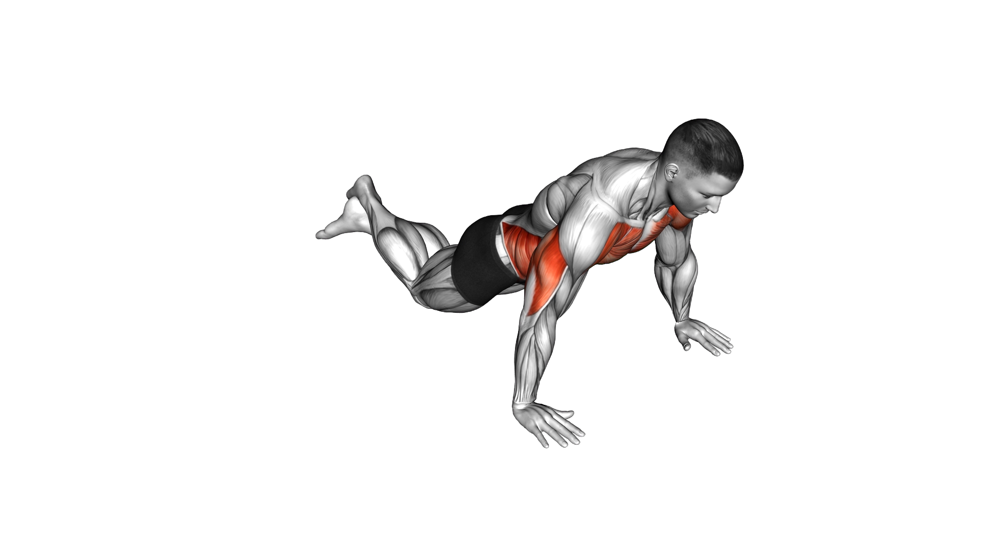 Kneeling Clock Push Up exercise demonstration
