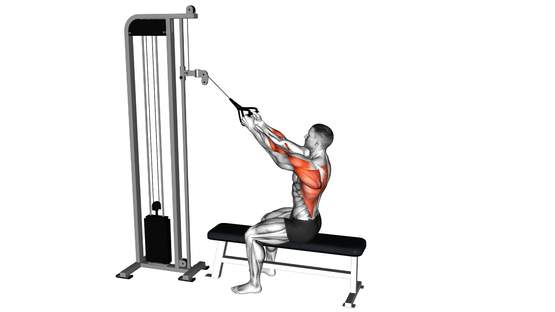 Cable High Row exercise demonstration