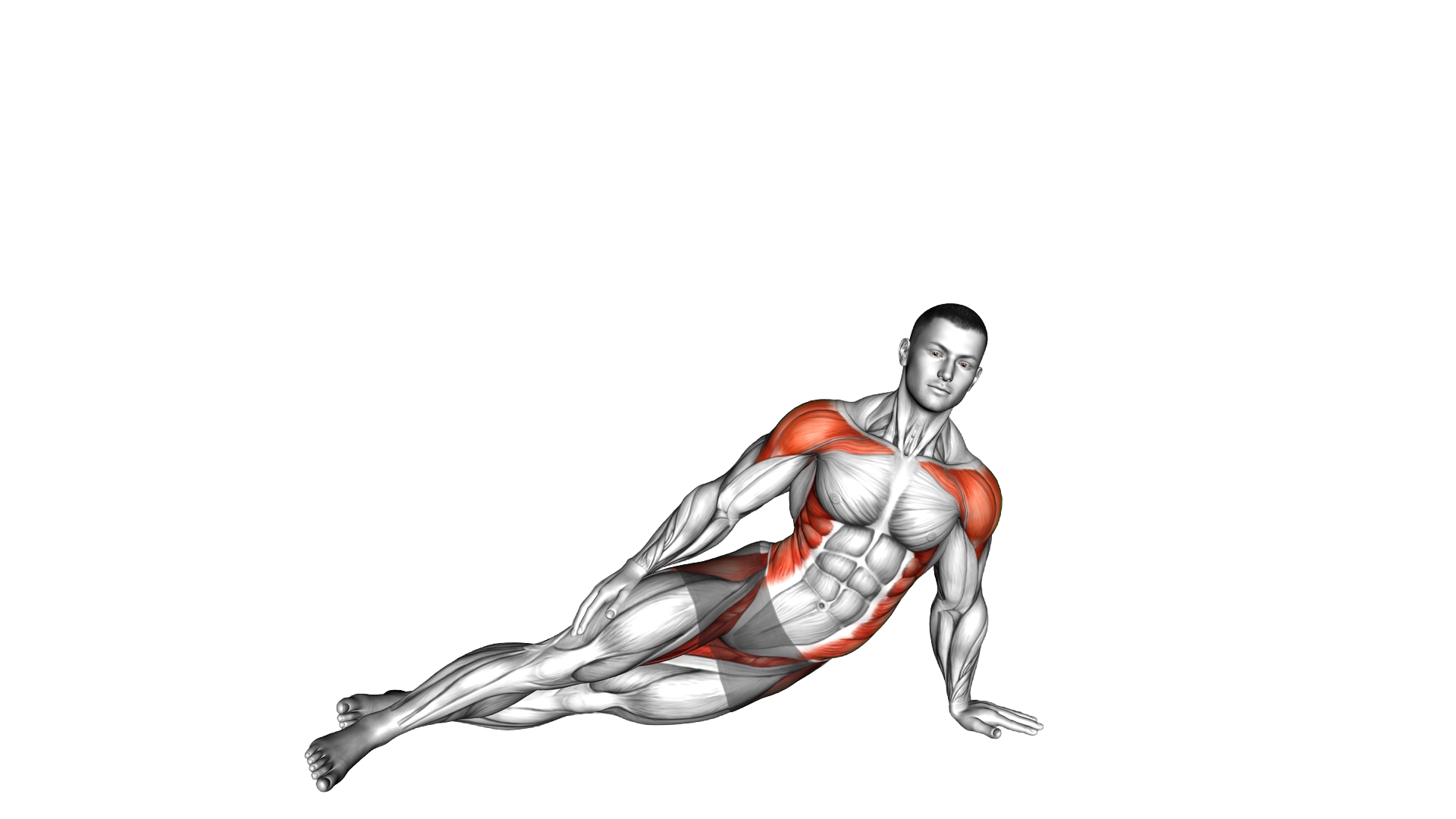 Side Bend Plank exercise demonstration