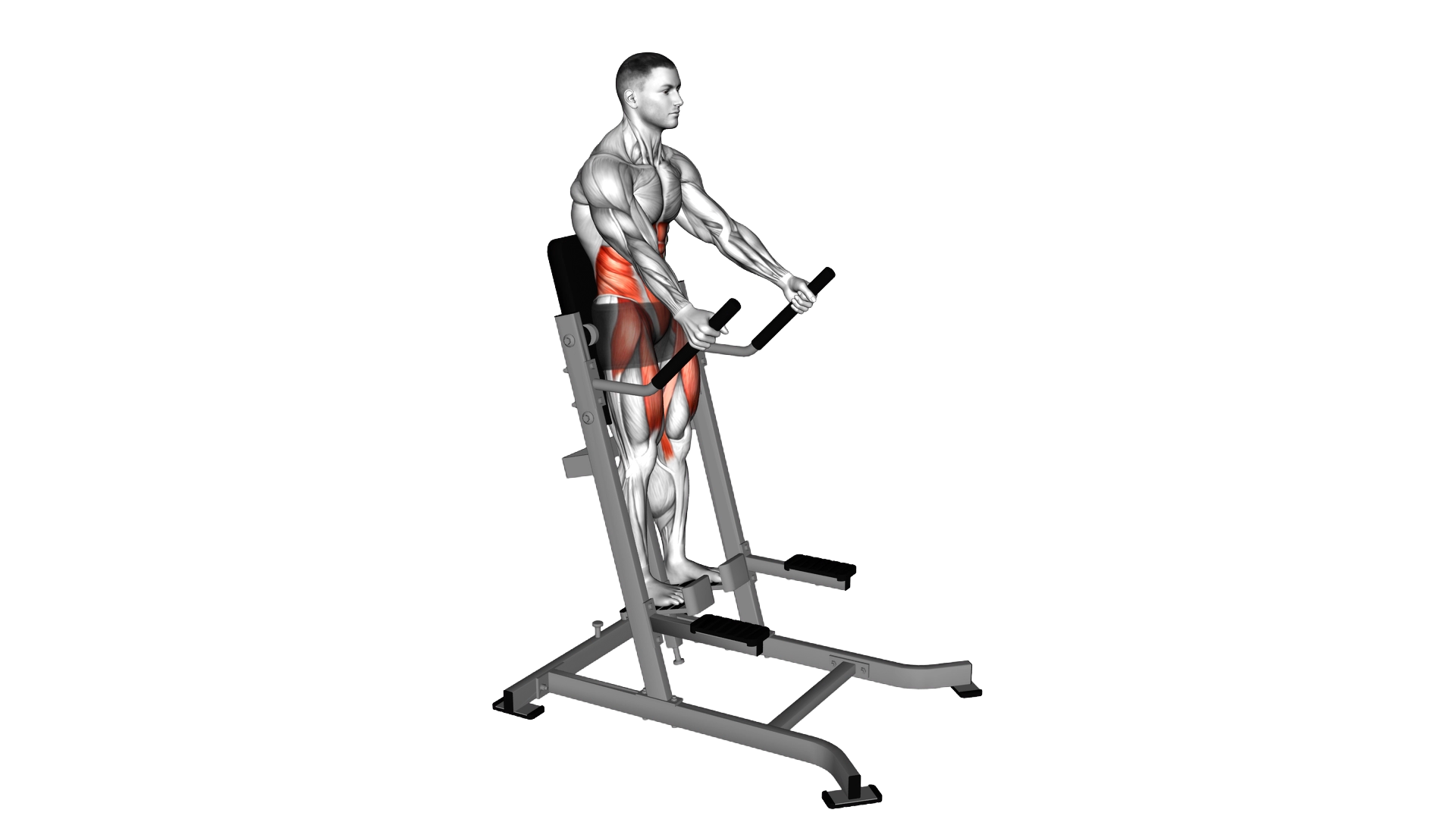 Lever Abdominal Leg Raise exercise demonstration