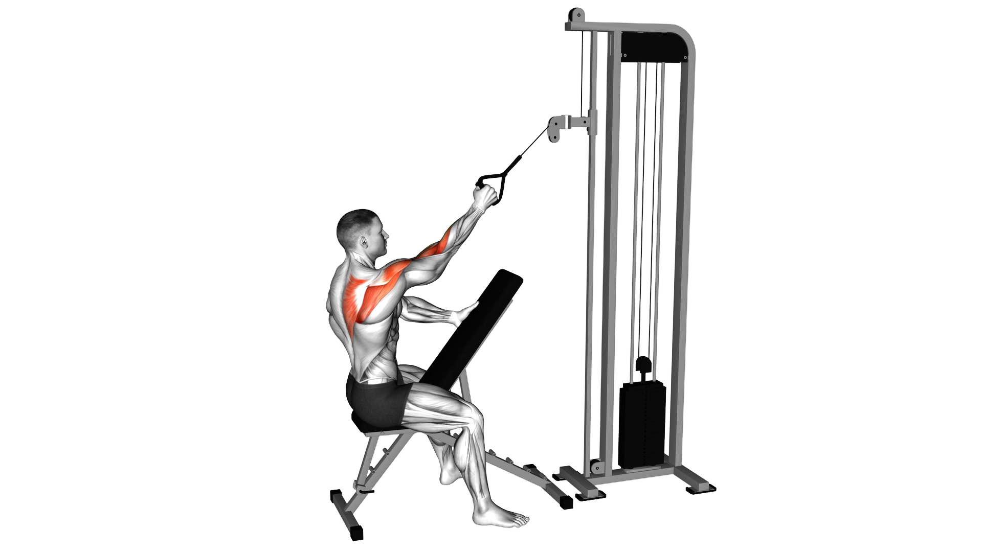 Cable Single Arm High Scapular Row exercise demonstration