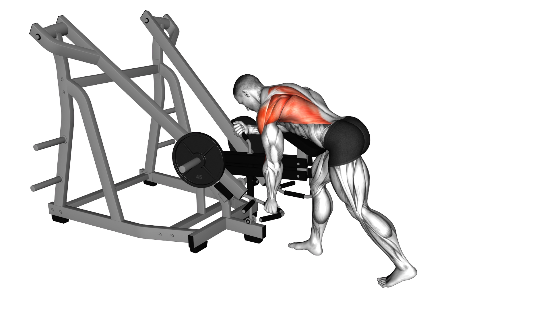 Lever Bent Over Single Arm Neutral Grip Row (with exercise demonstration
