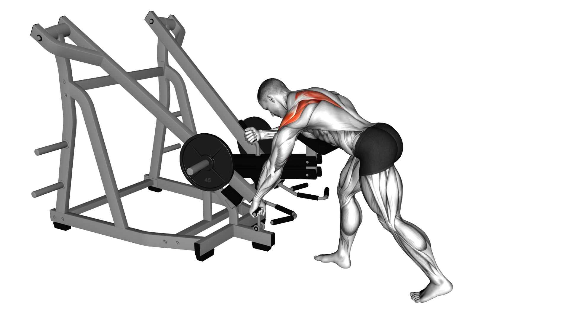 Lever Bent Over Single Arm Wide Grip Row (with che exercise demonstration