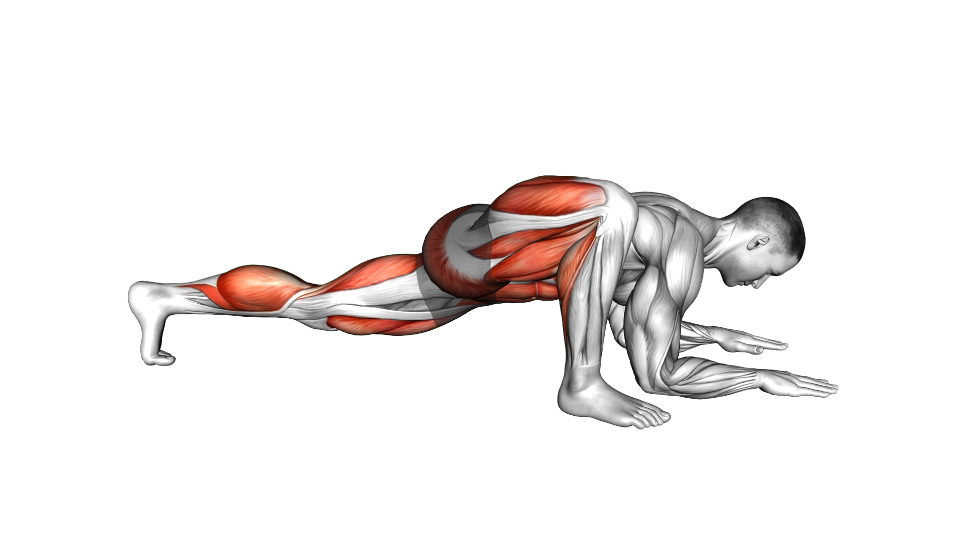 Lizard Pose exercise demonstration