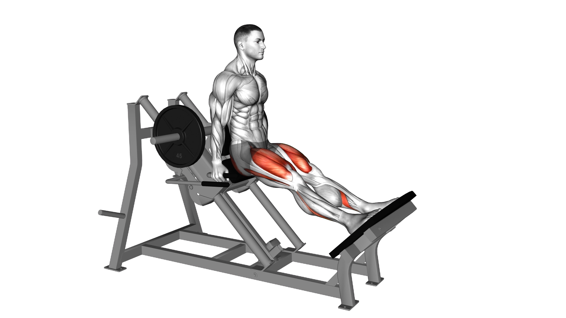 Lever Linear Hack Squat exercise demonstration