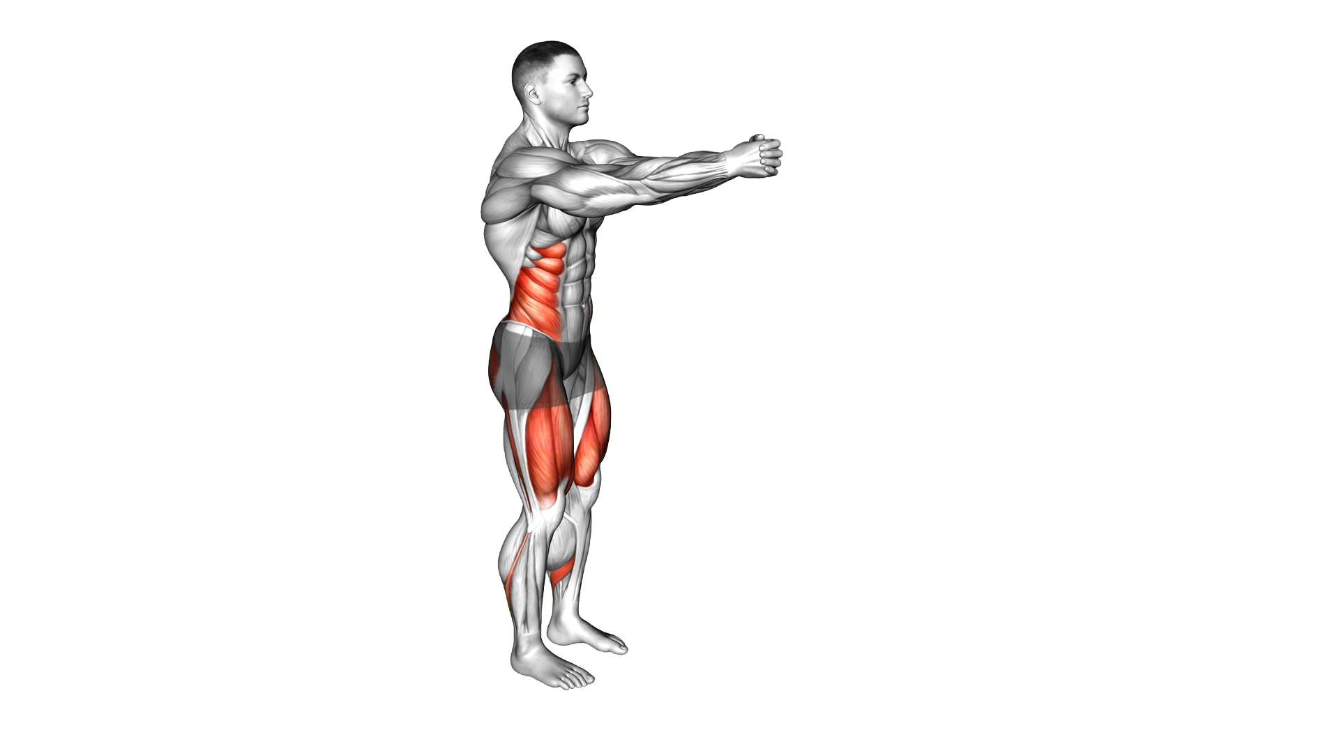 Lunge Twist exercise demonstration