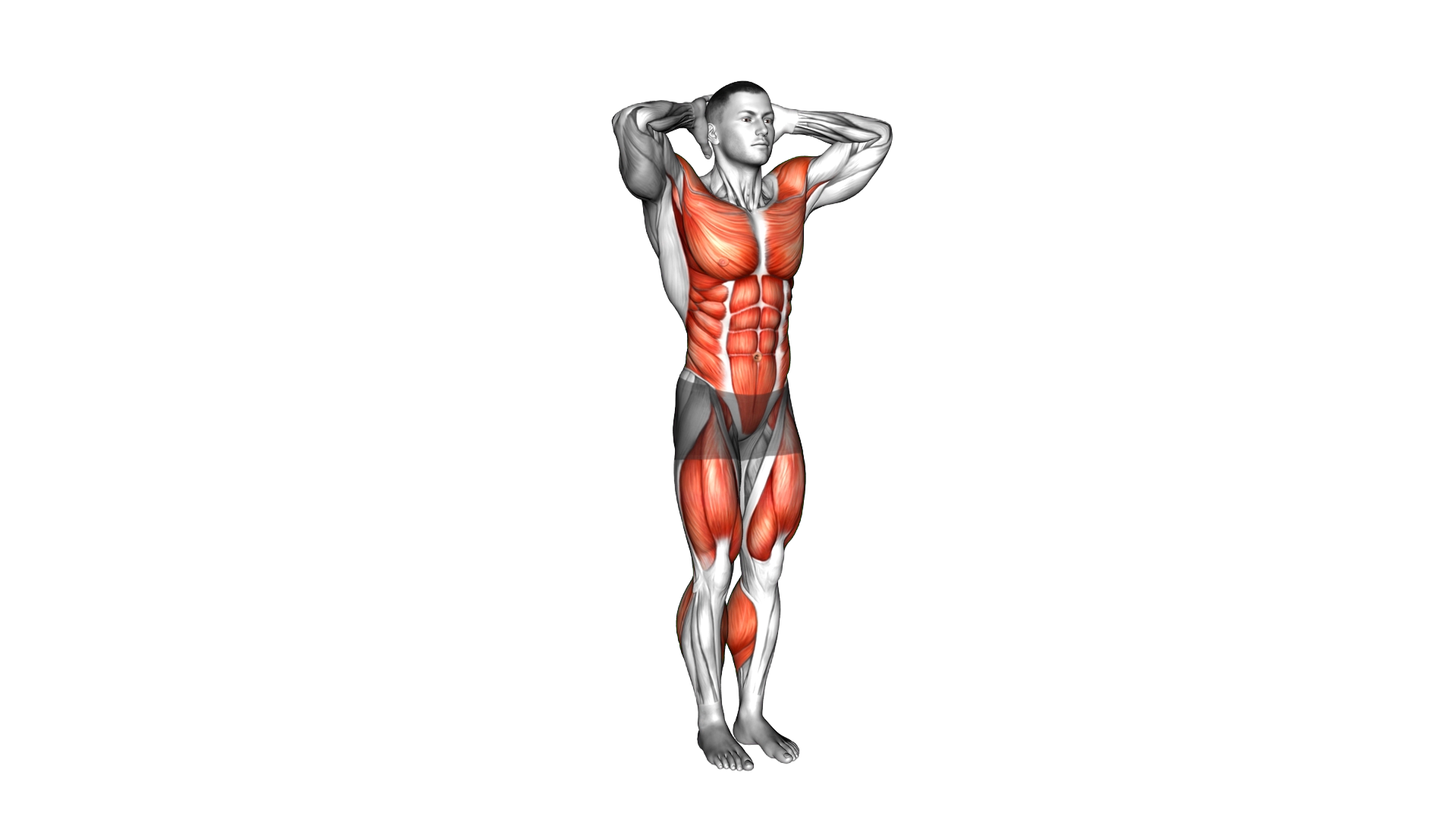Twist and Leg Lift exercise demonstration