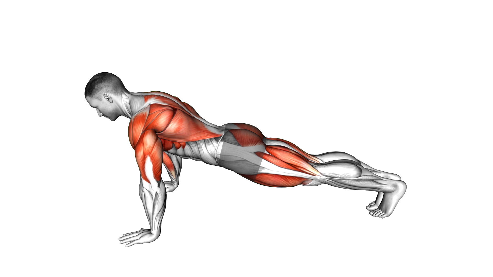 Push up Pull exercise demonstration
