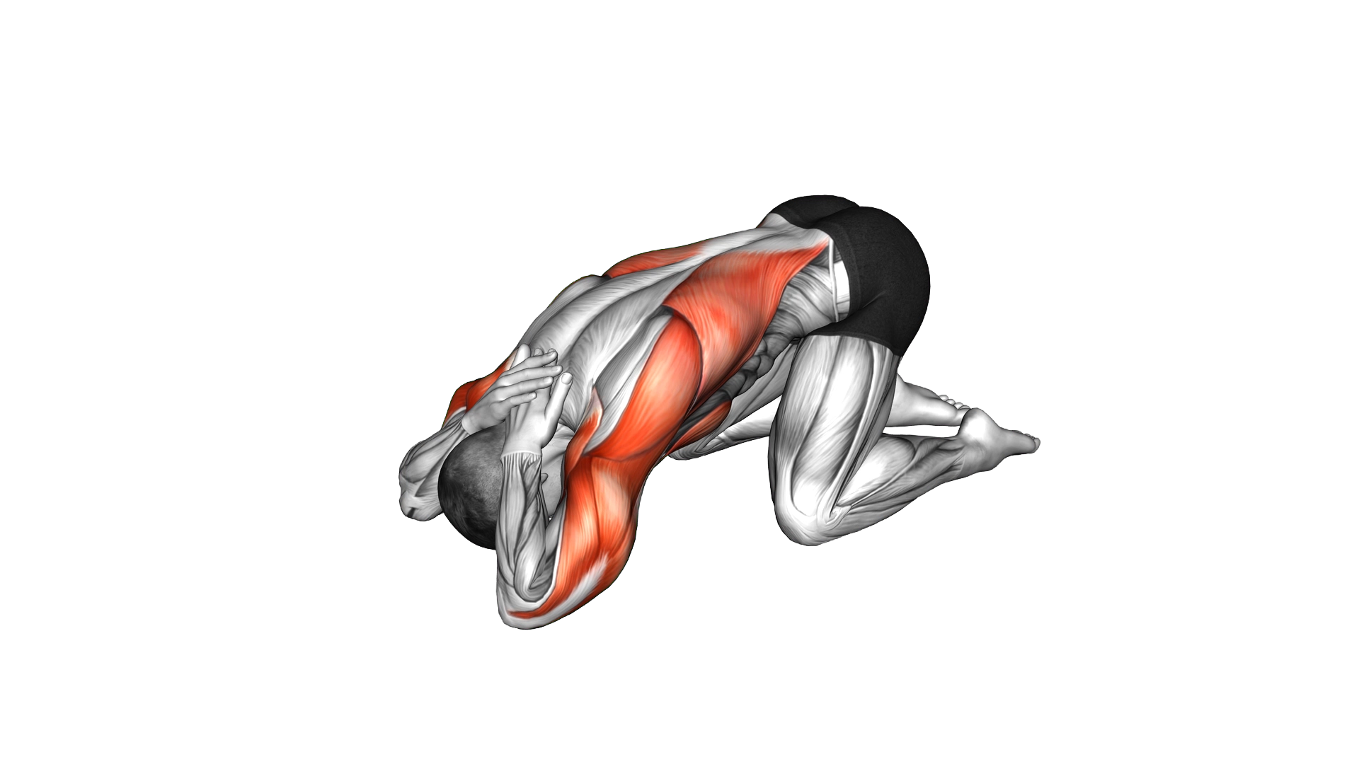 Armless Prayer Stretch exercise demonstration
