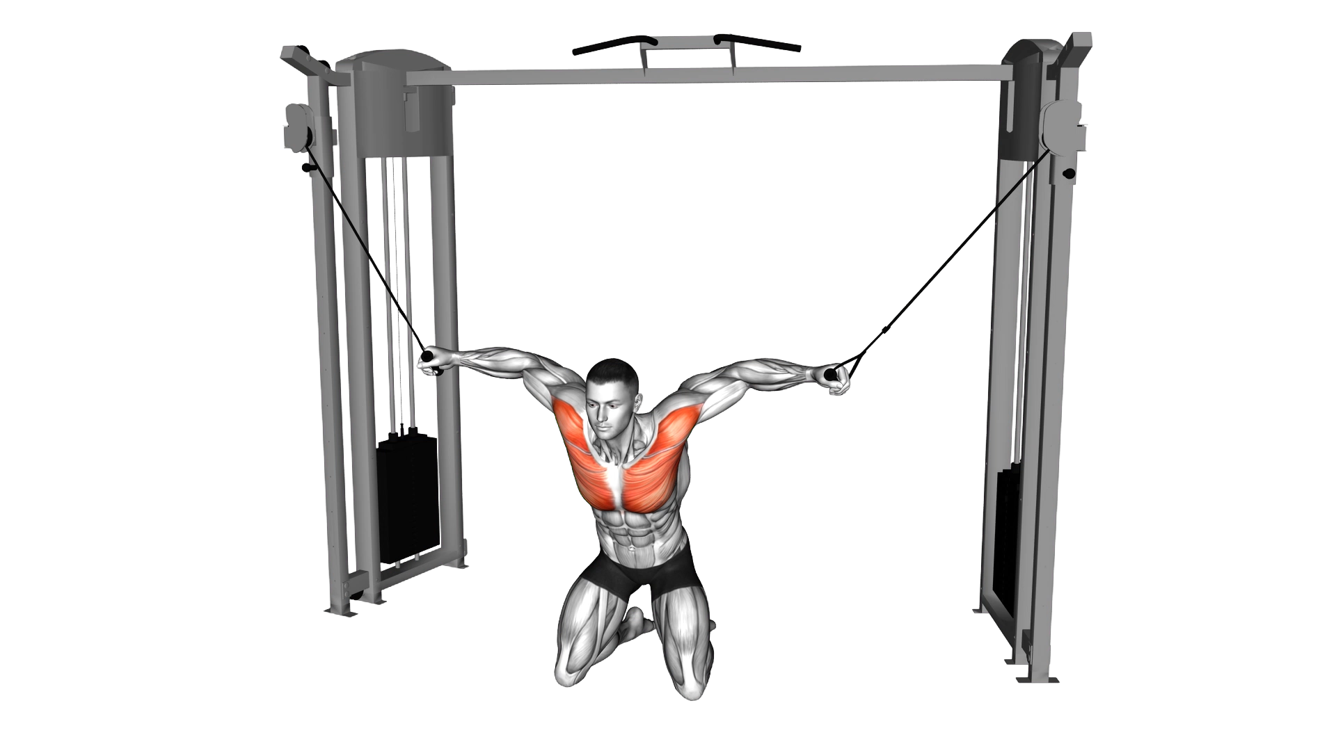Cable Kneeling High to Low Fly exercise demonstration
