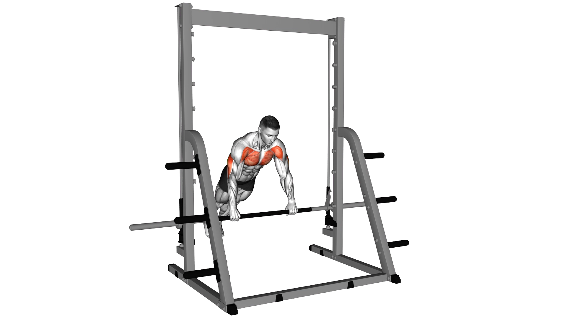 Incline Push up on a Smith Bar exercise demonstration