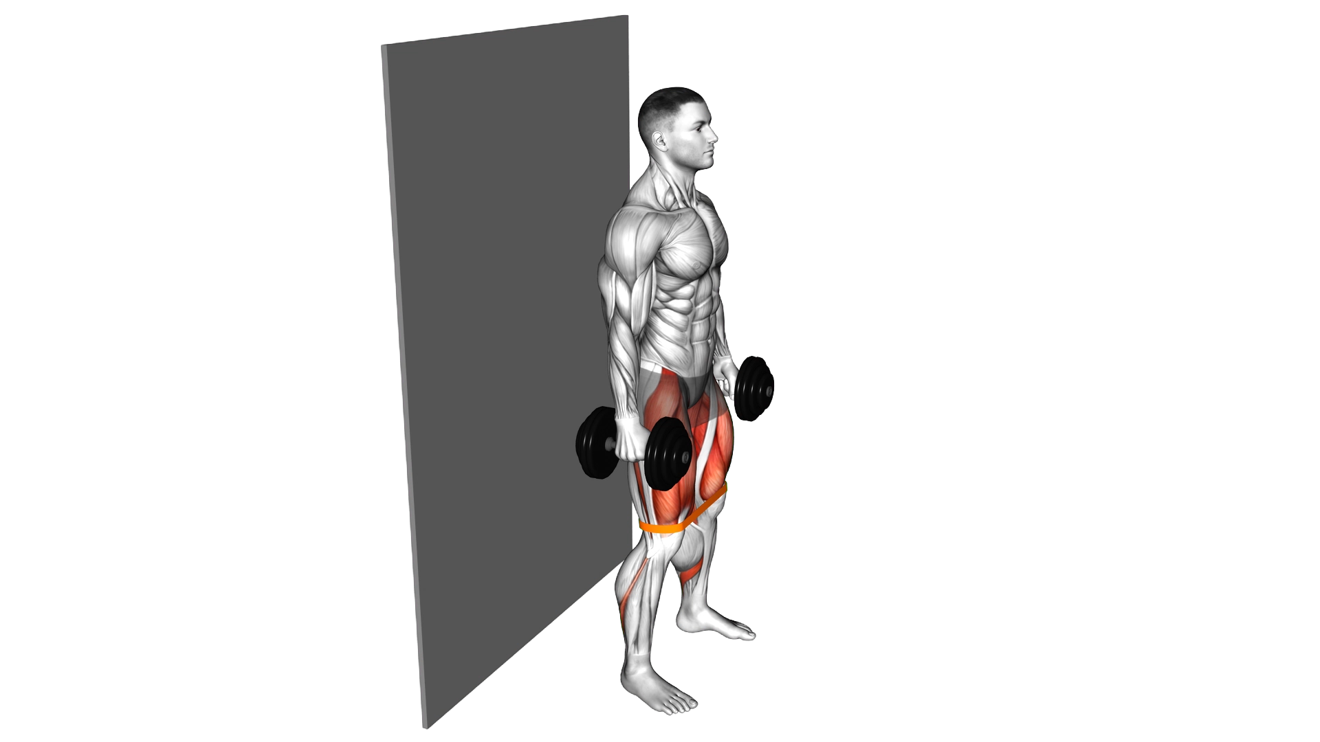 Dumbbell Banded Wall Sit exercise demonstration