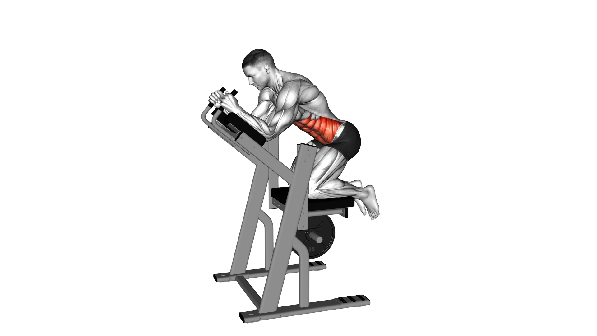 Lever Ab Swing exercise demonstration