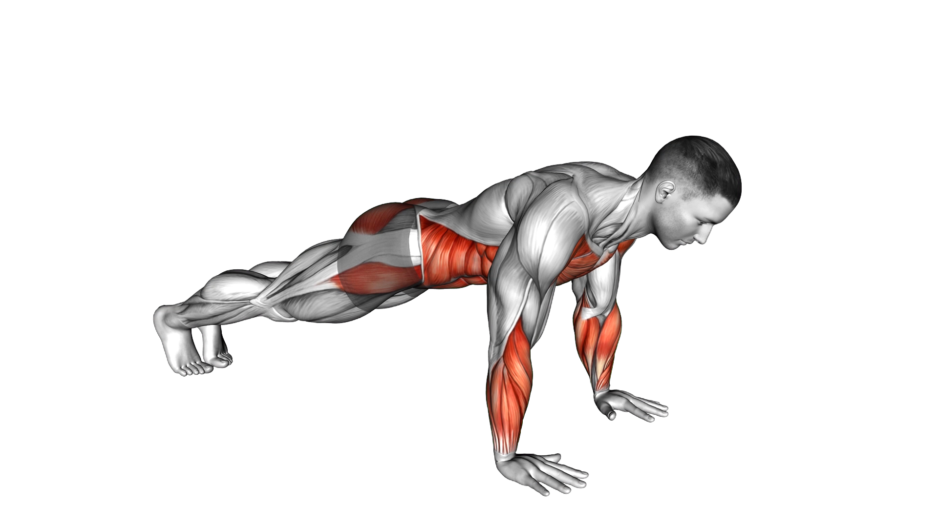 Finger Raises Plank exercise demonstration
