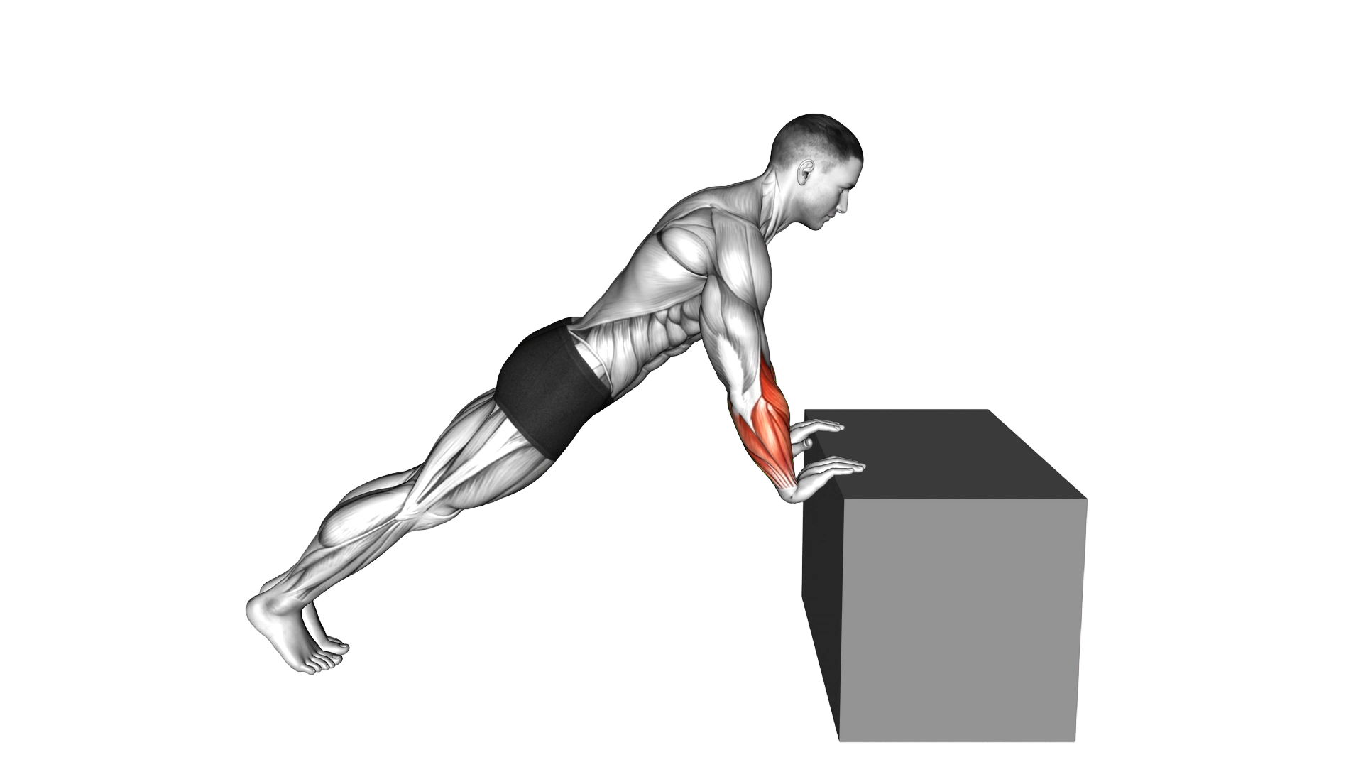 Incline Finger Press exercise demonstration
