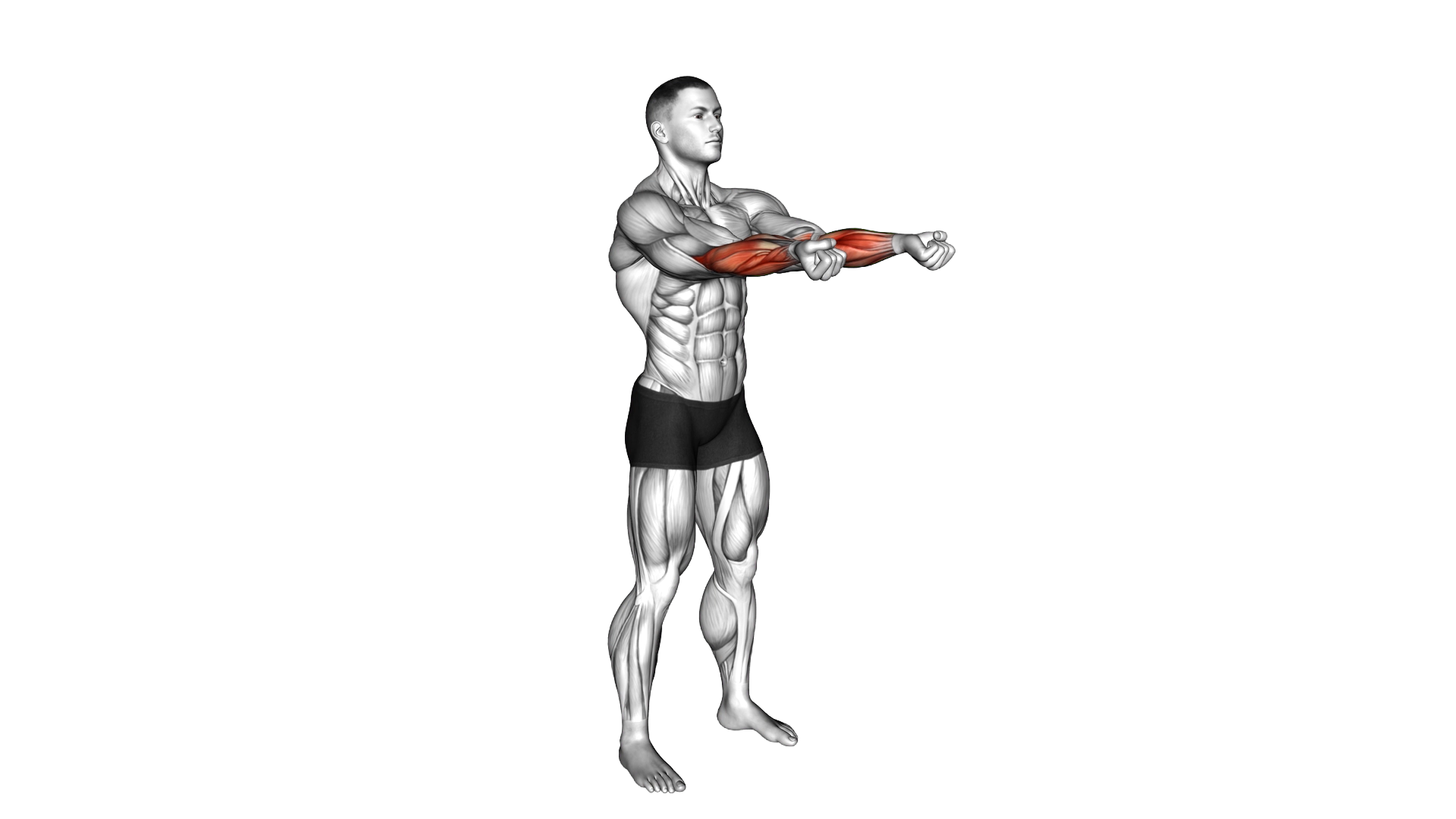 Standing Switching Palm Squeezes exercise demonstration