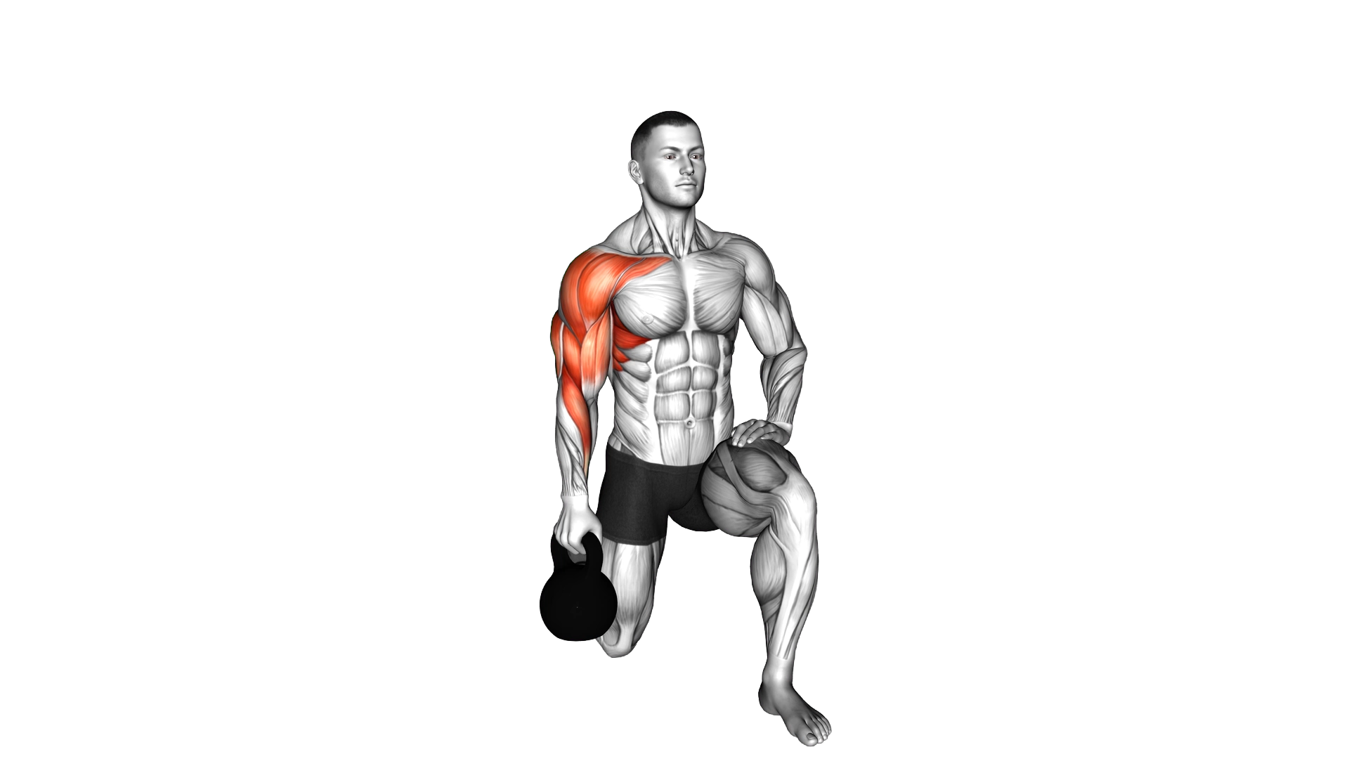 Kettlebell Kneeling Shoulder Bottom Up Hold exercise demonstration