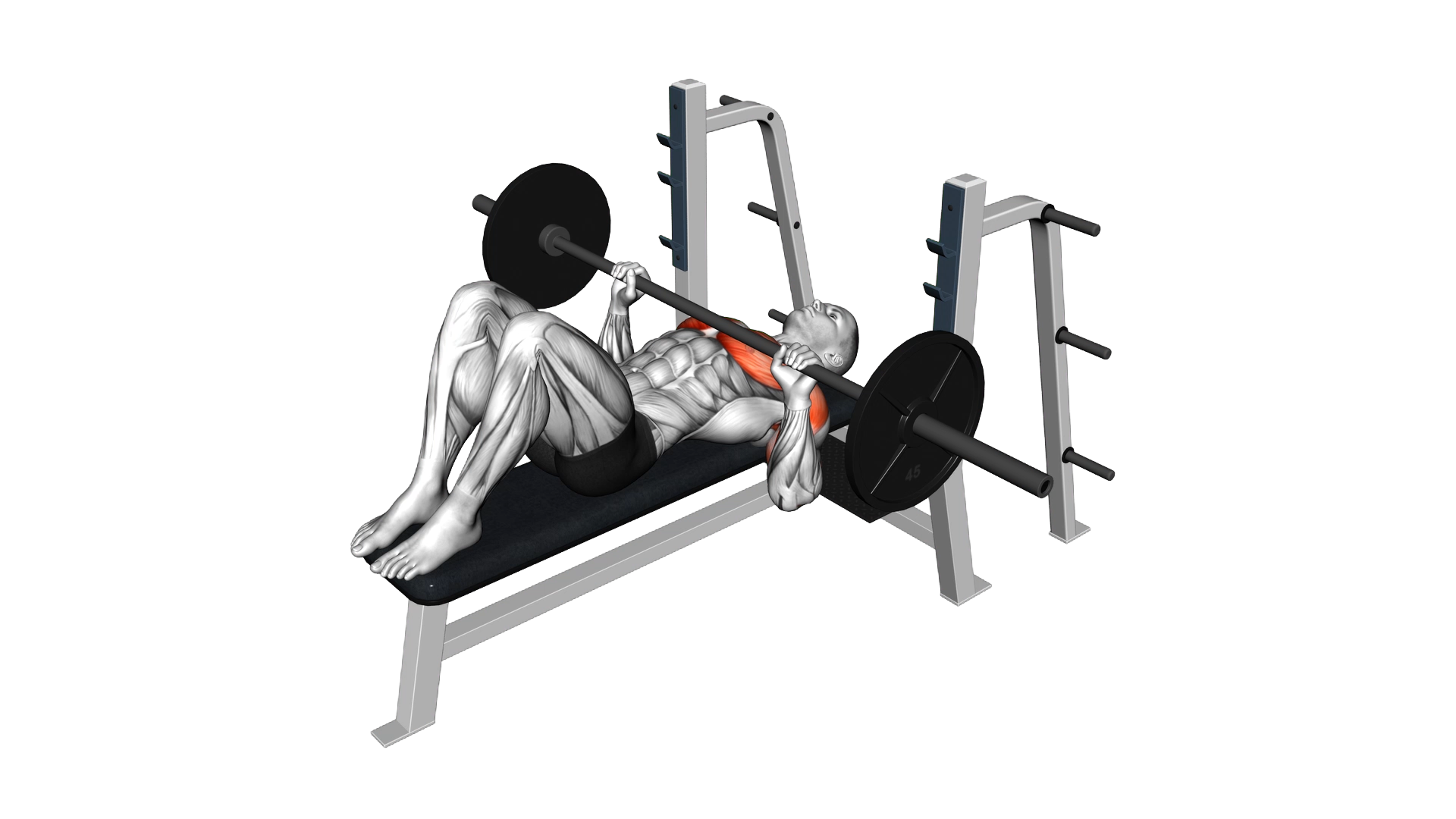 Barbell Feet Flat Bench Press exercise demonstration