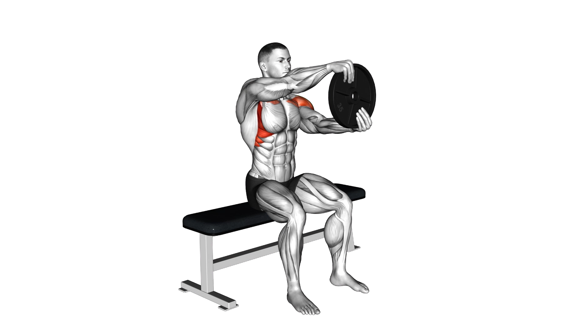 Weighted Seated Plate Driver exercise demonstration