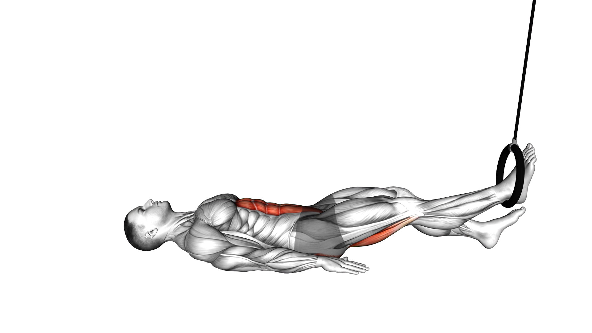 Ring Hip Lift Single Leg Curl exercise demonstration