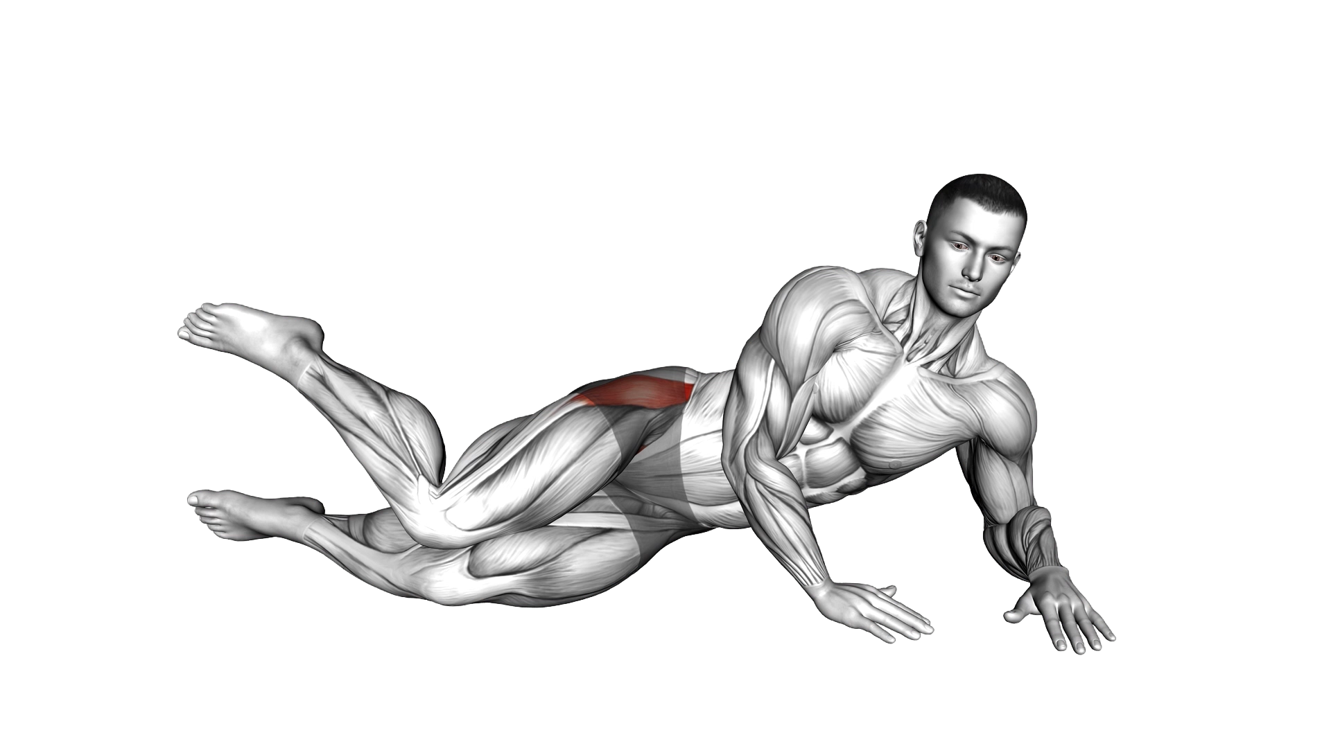 Side Lying Heel and Knee Taps exercise demonstration