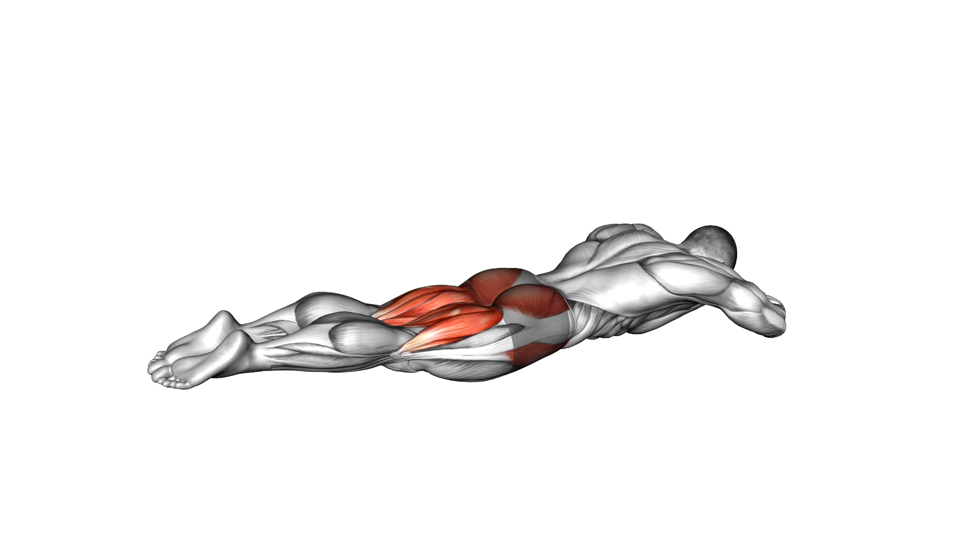 Lying Leg Abduction exercise demonstration