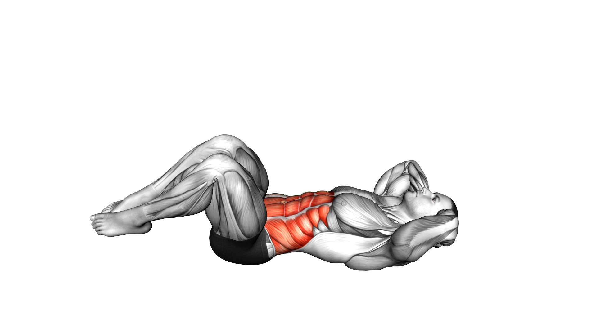 Lying Obliques Crunch exercise demonstration