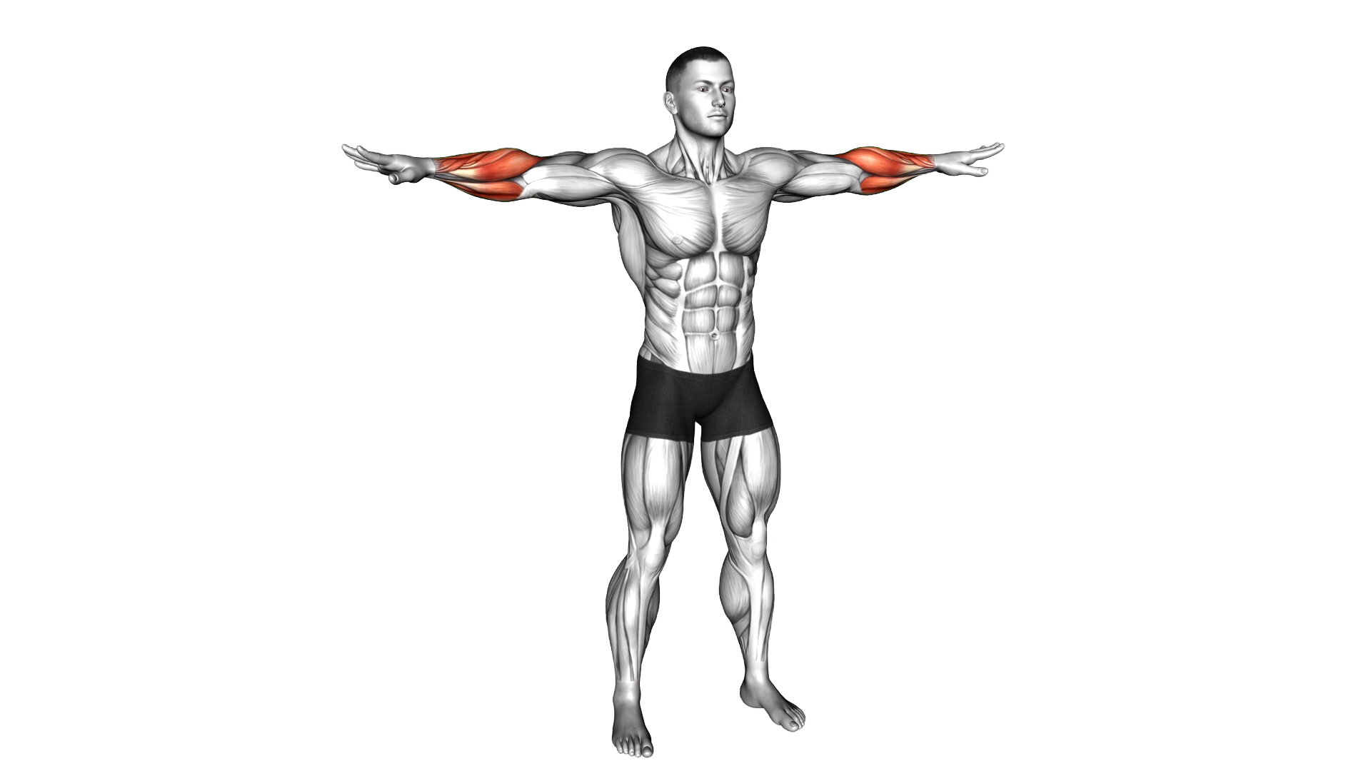 Standing Mid Air Finger Bounces exercise demonstration