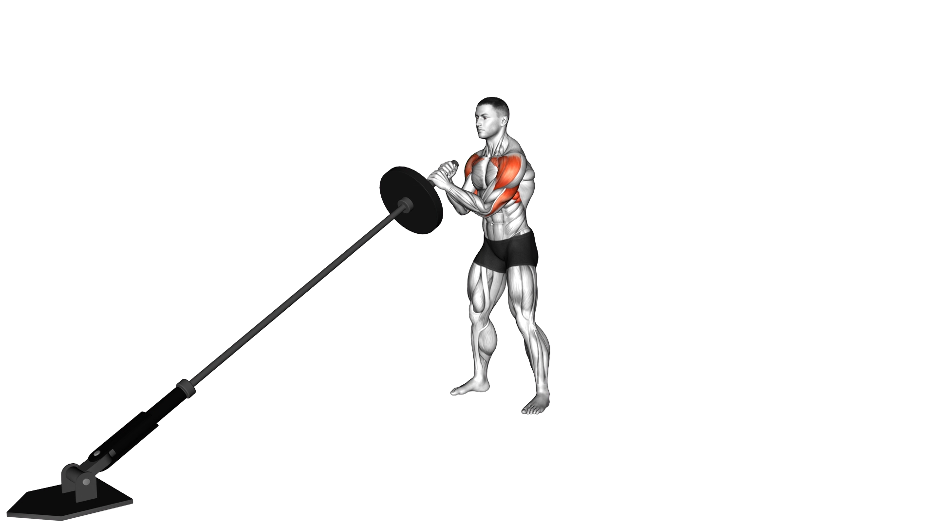 Landmine Shoulder To Shoulder Press exercise demonstration