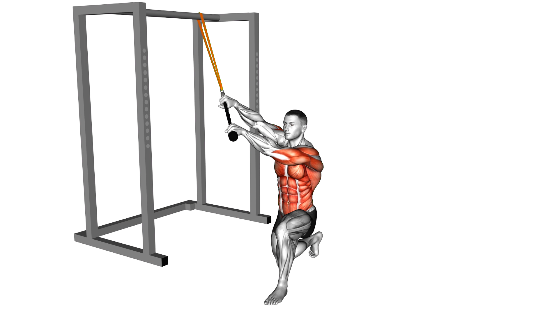 Resistance Band Kneeling High Low Anti Rotation Ch exercise demonstration