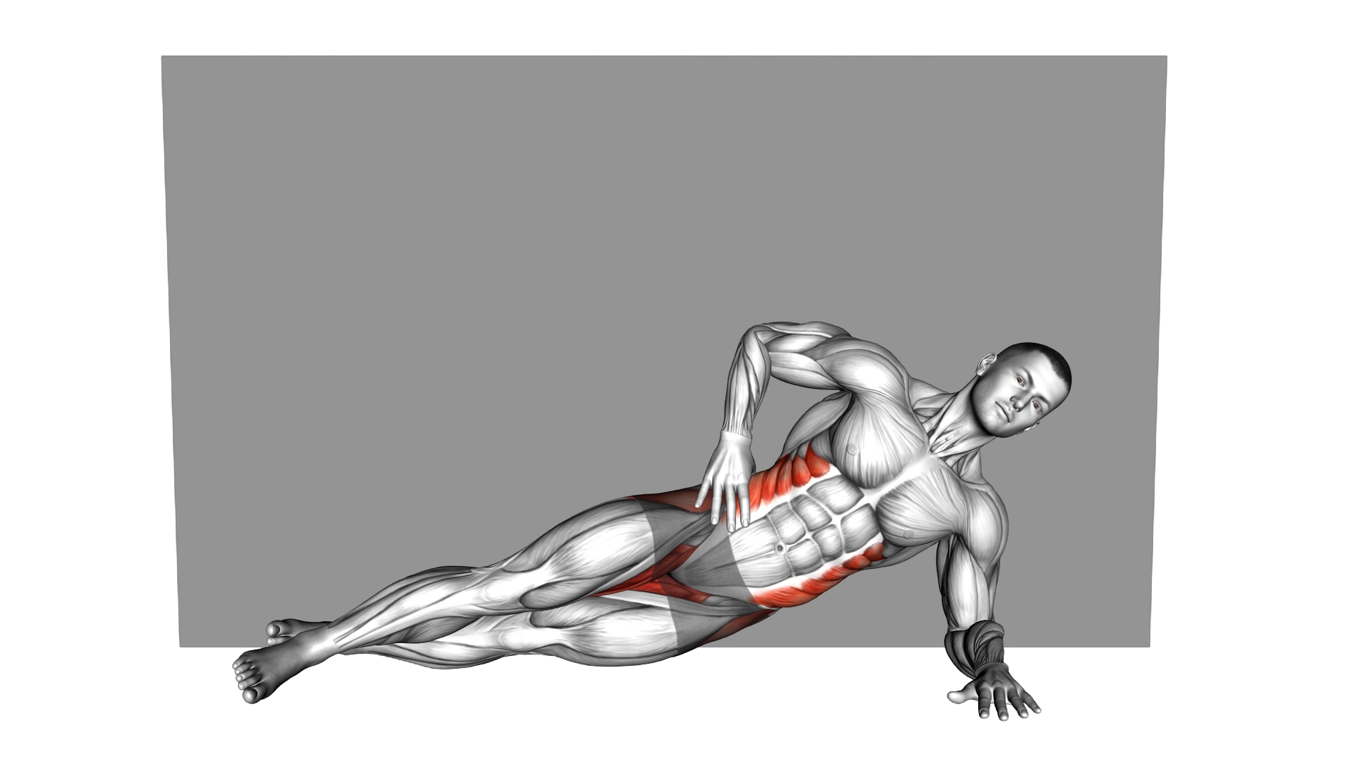 Side Plank Supported Wall exercise demonstration