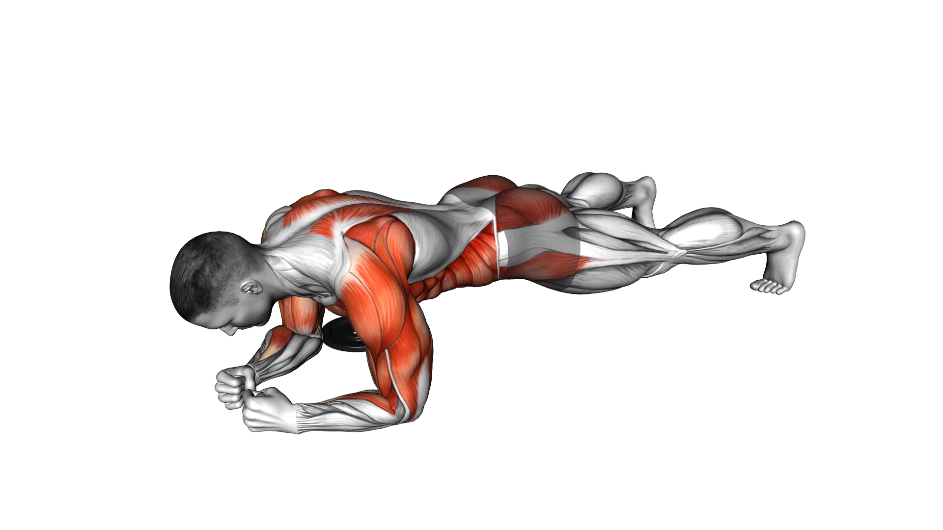 Plank Prone Plate Switch exercise demonstration
