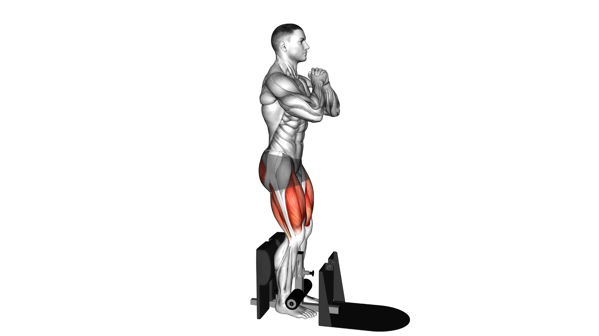 Bodyweight Supported Squat exercise demonstration