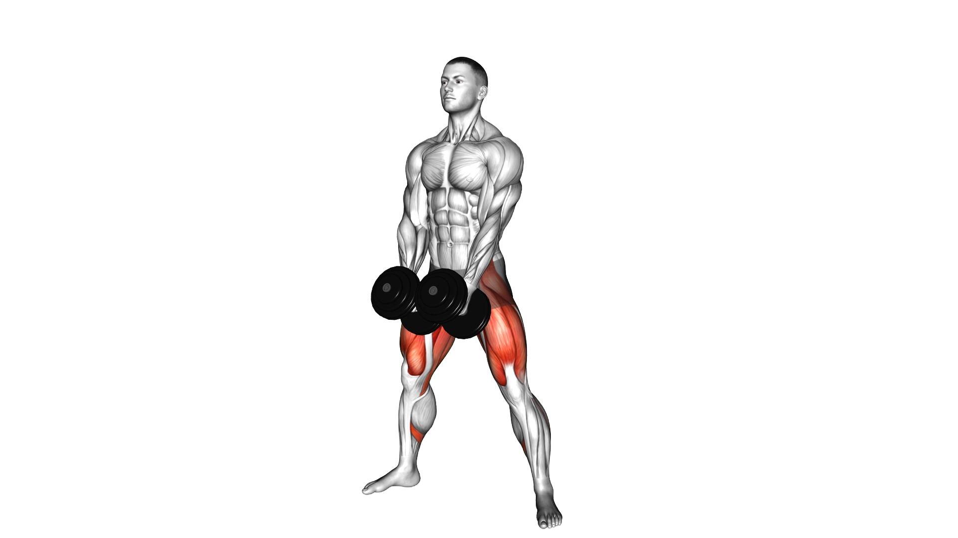 Dumbbell Wide Squat exercise demonstration