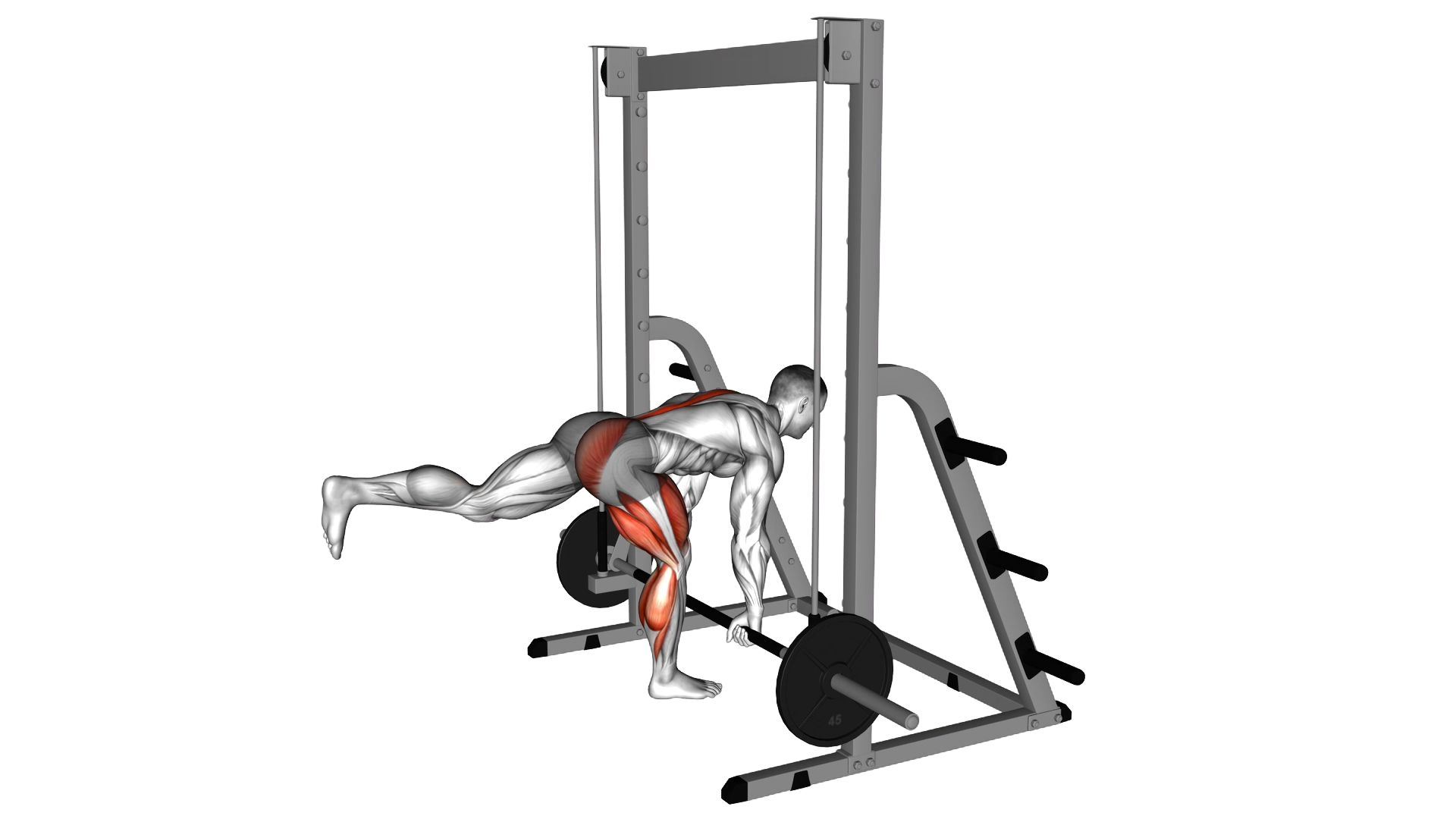Smith Single Leg Deadlift exercise demonstration