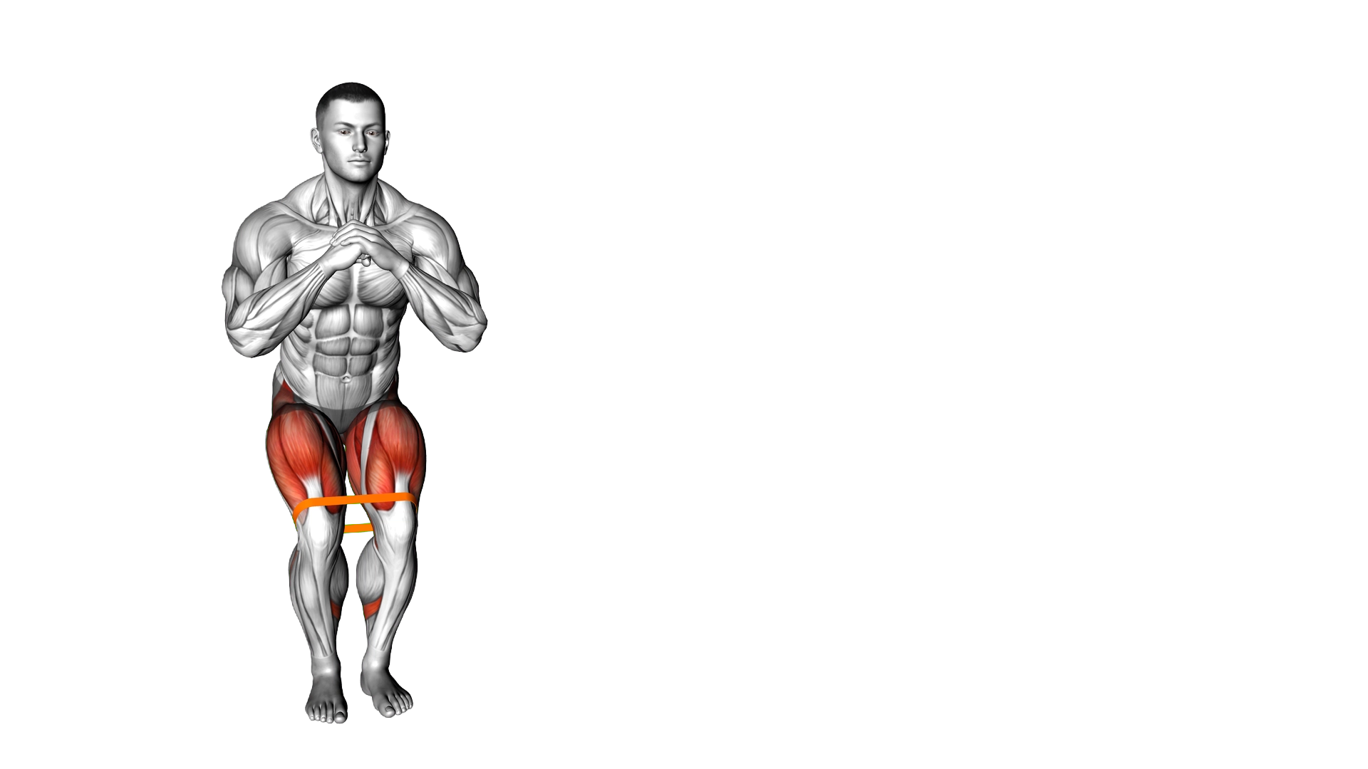 Resistance Band Lateral Walk exercise demonstration