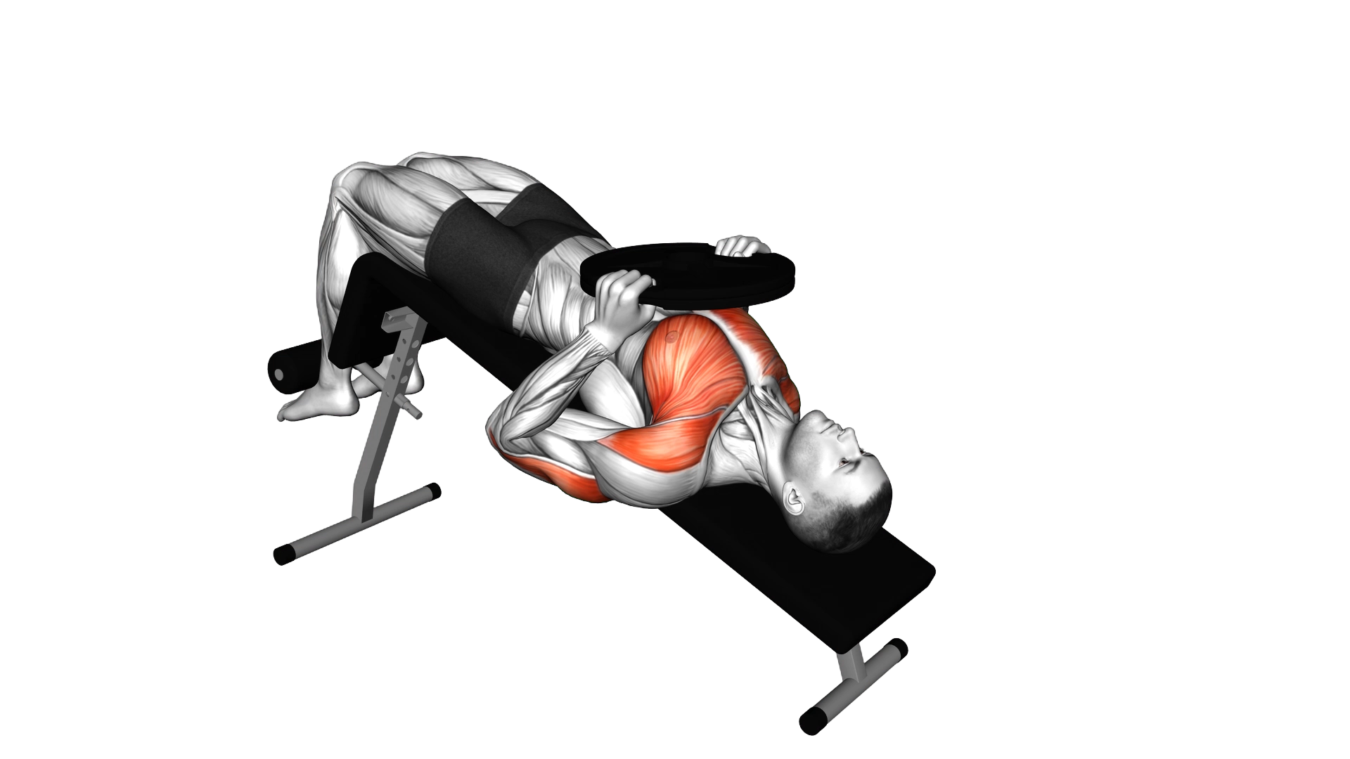 Weighted Plate Decline Chest Press exercise demonstration