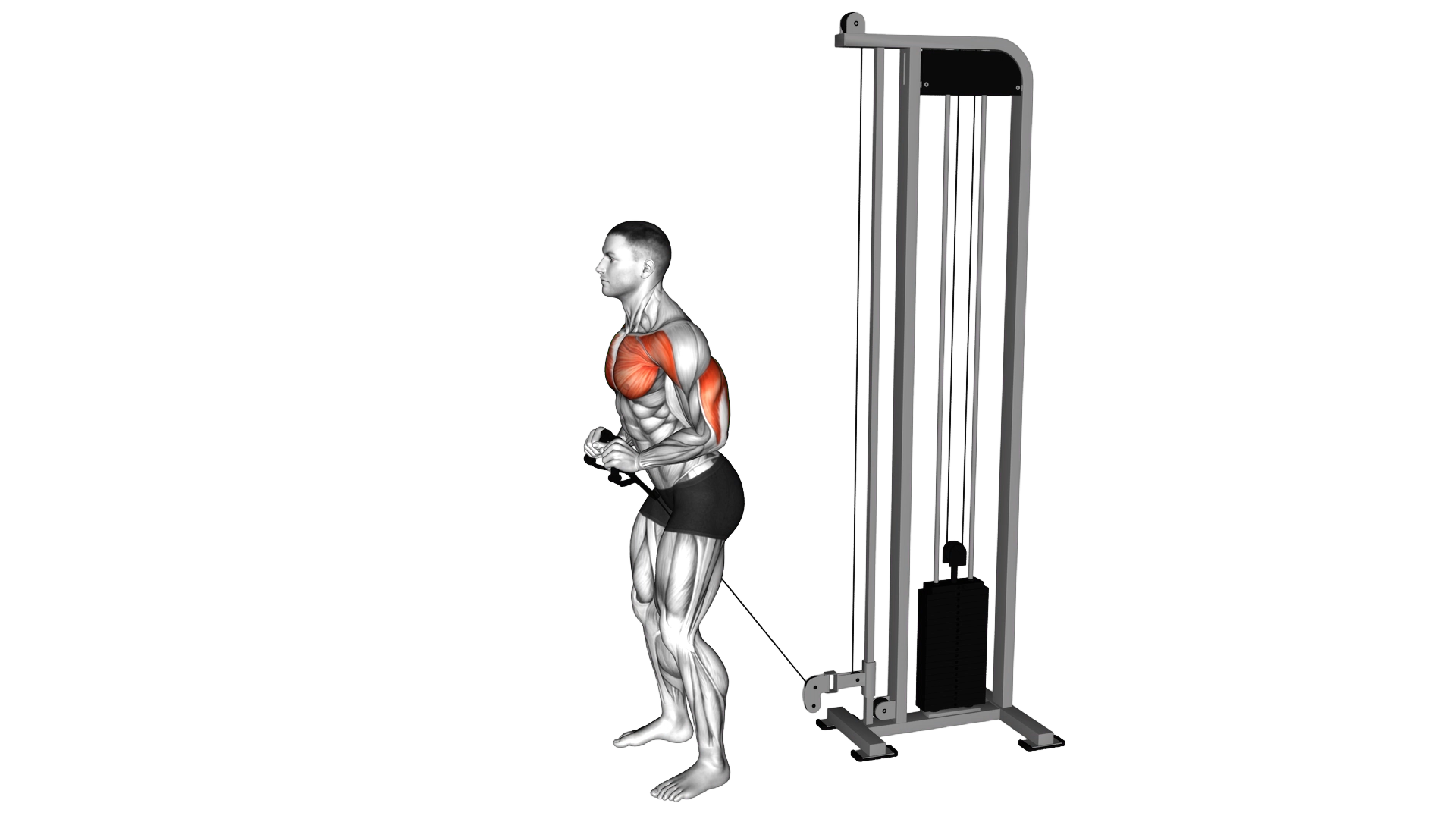 Cable Standing Squeez Upper Chest Press exercise demonstration