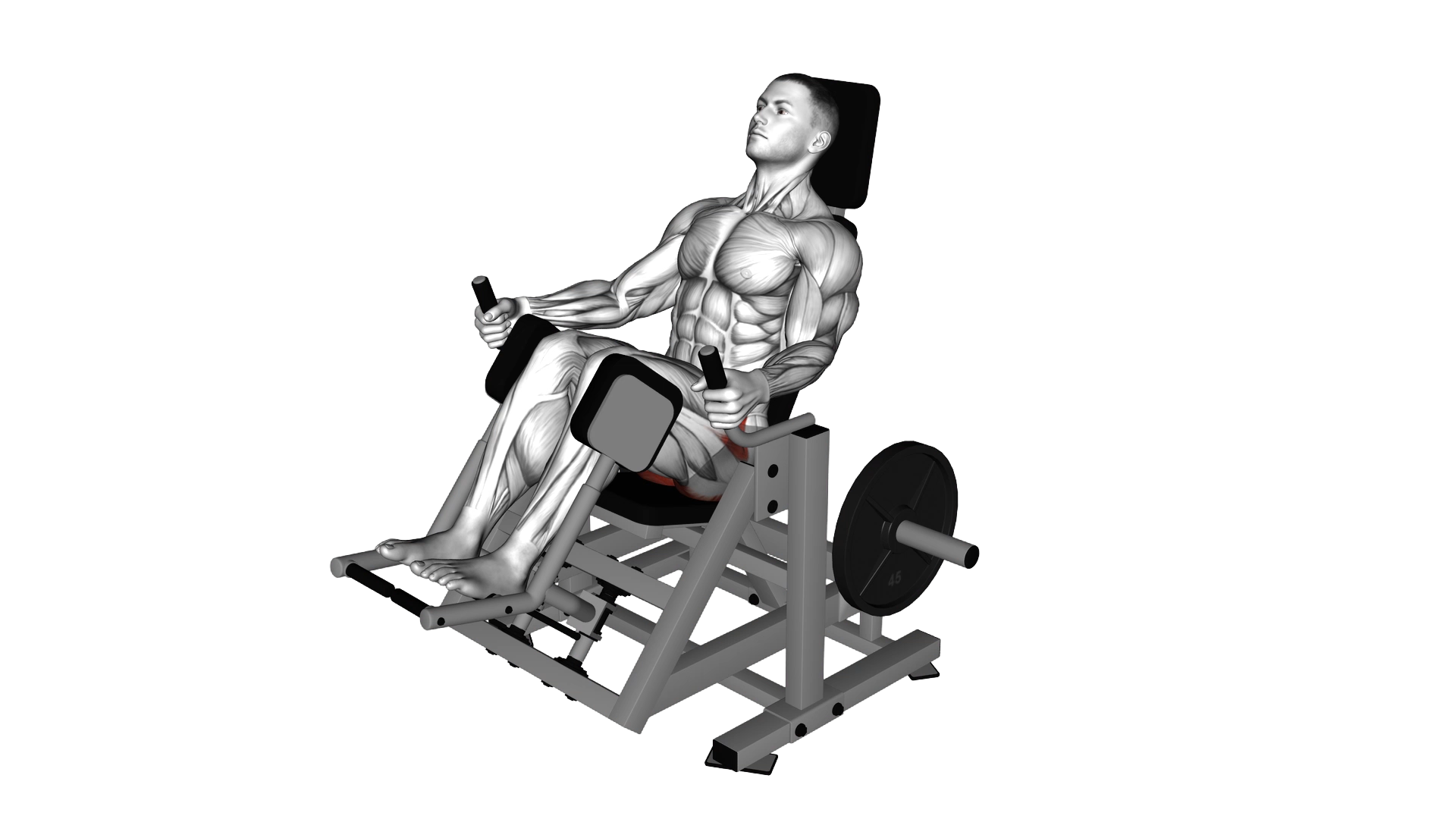 Lever Glute Abductors Press exercise demonstration