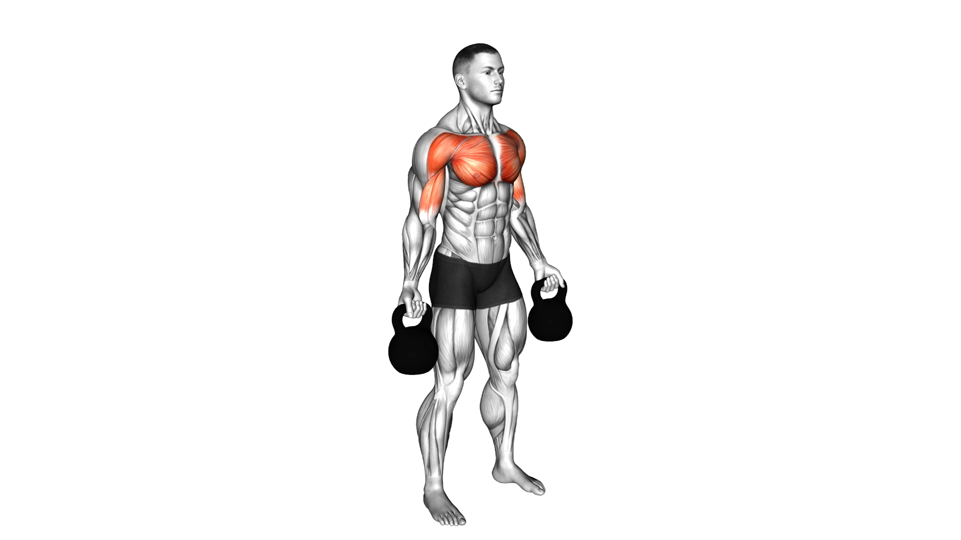 Kettlebell Low Fly exercise demonstration