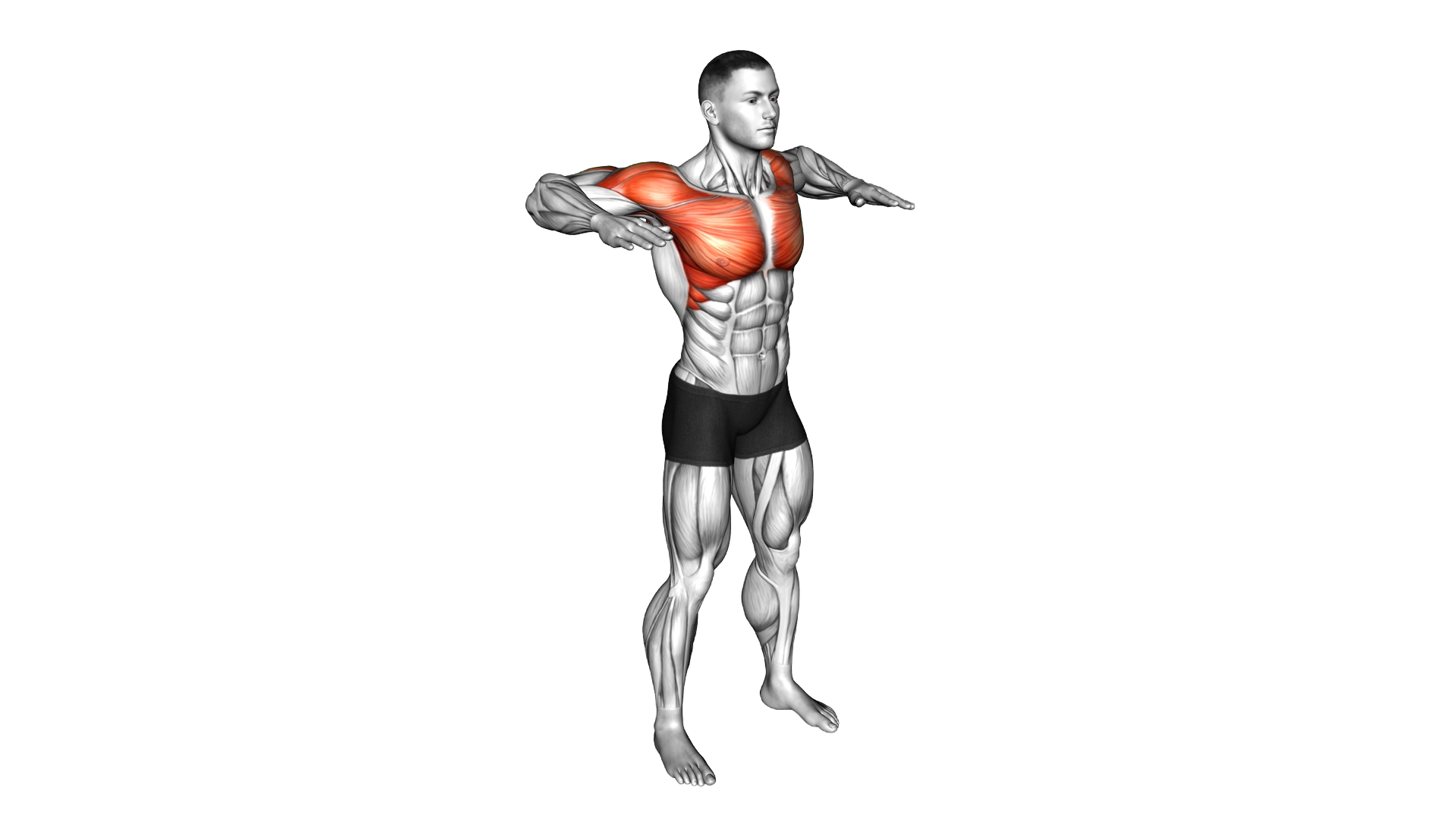 Arm Crossover Chest Out exercise demonstration