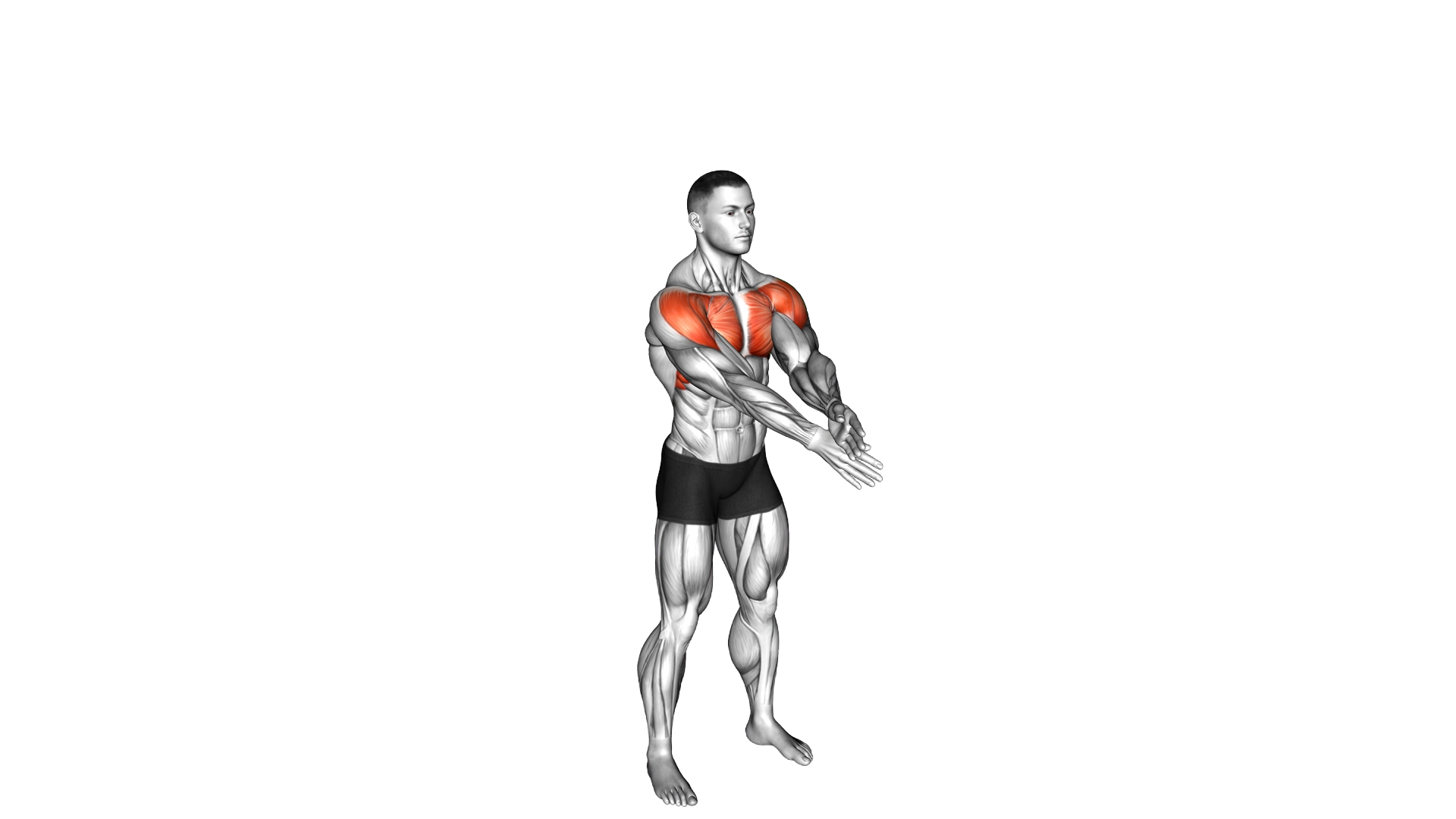 Criss Cross Arms Lift exercise demonstration