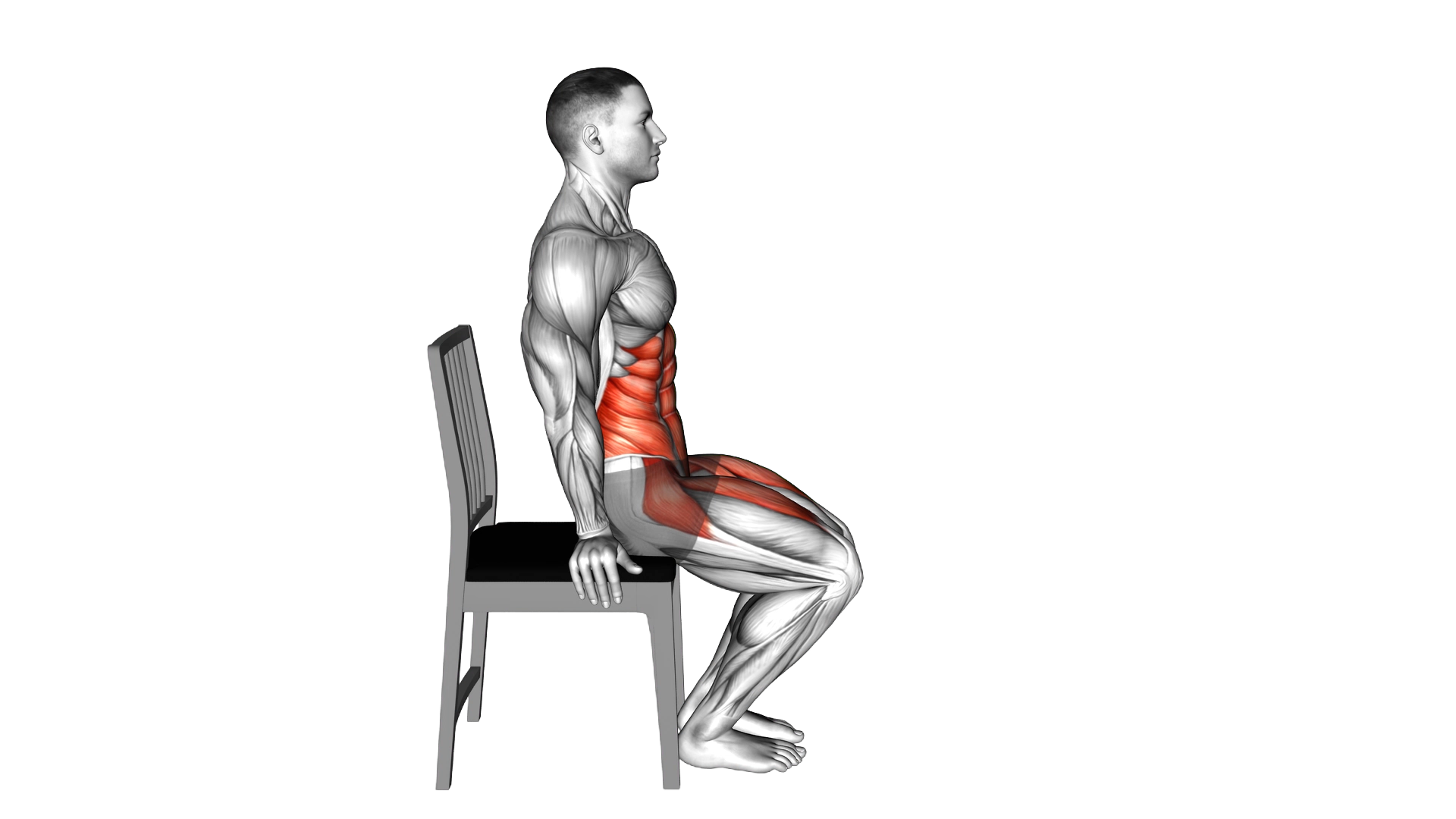 Leg Raises Hold on Chair exercise demonstration