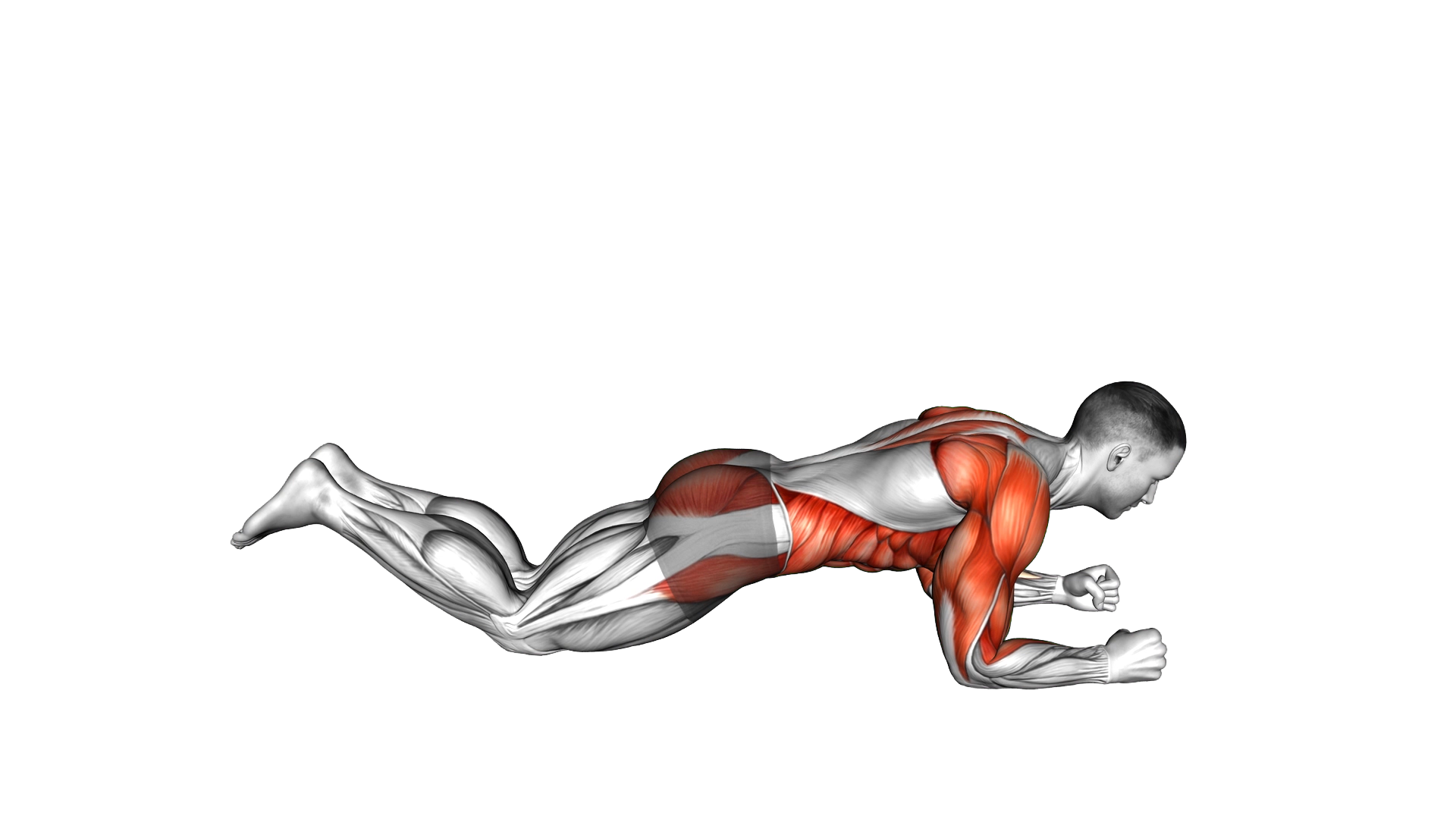 Kneeling Dynamic Plank exercise demonstration