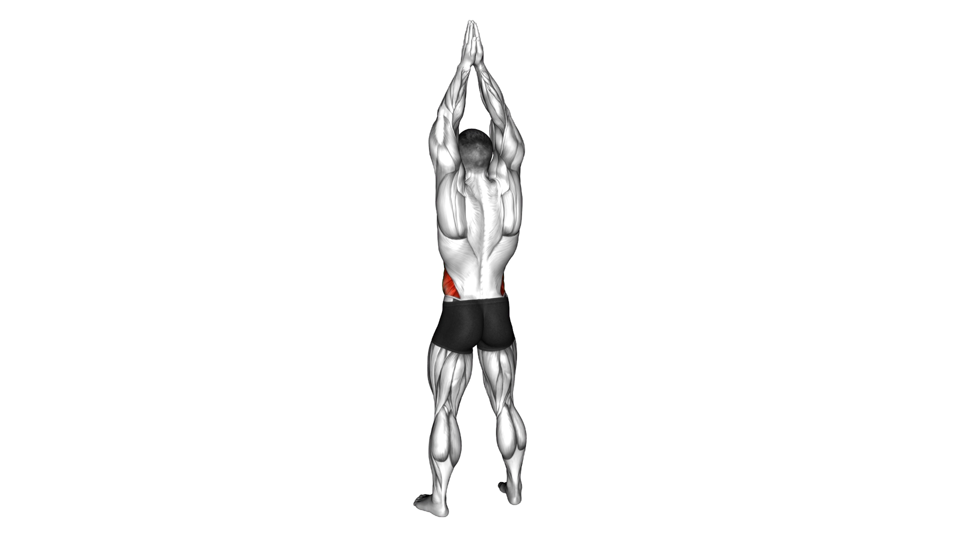 Side Bend Arms Above exercise demonstration