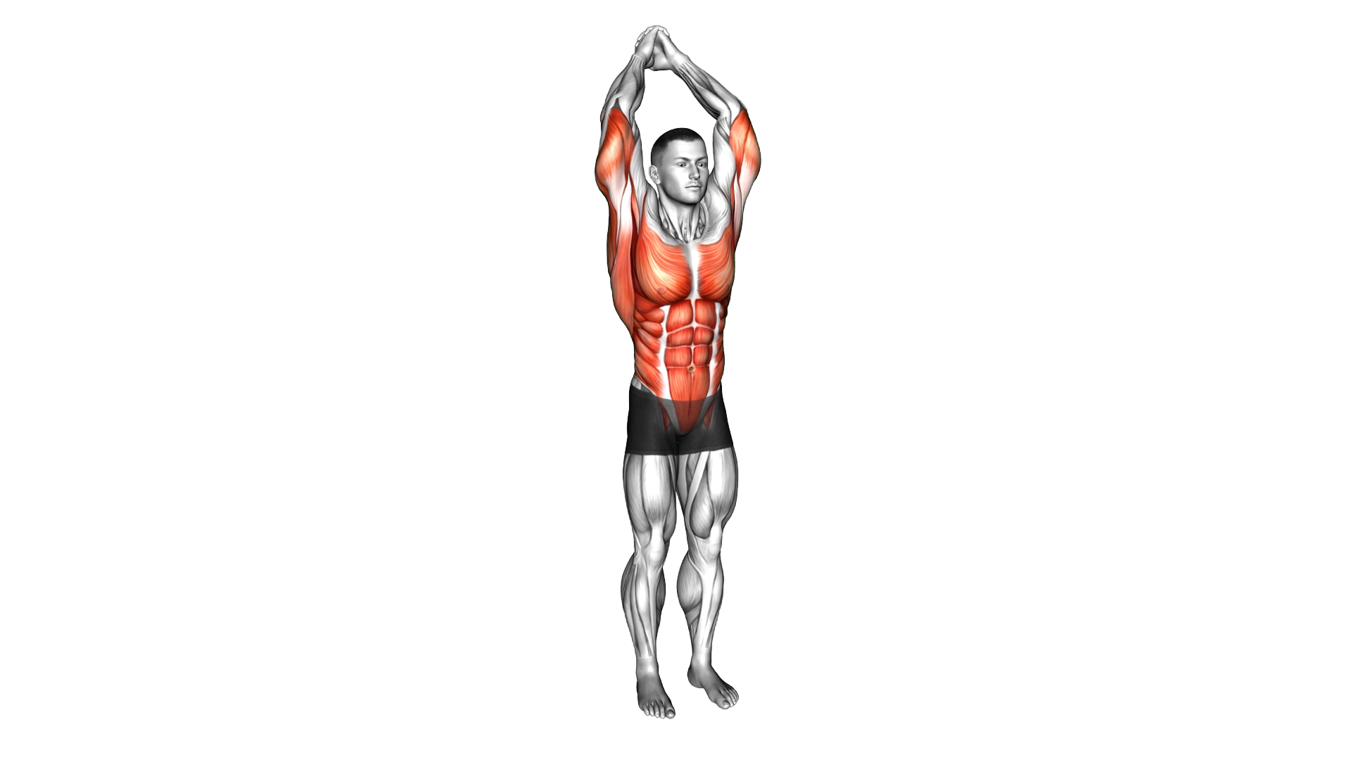 Standing Boat Row exercise demonstration