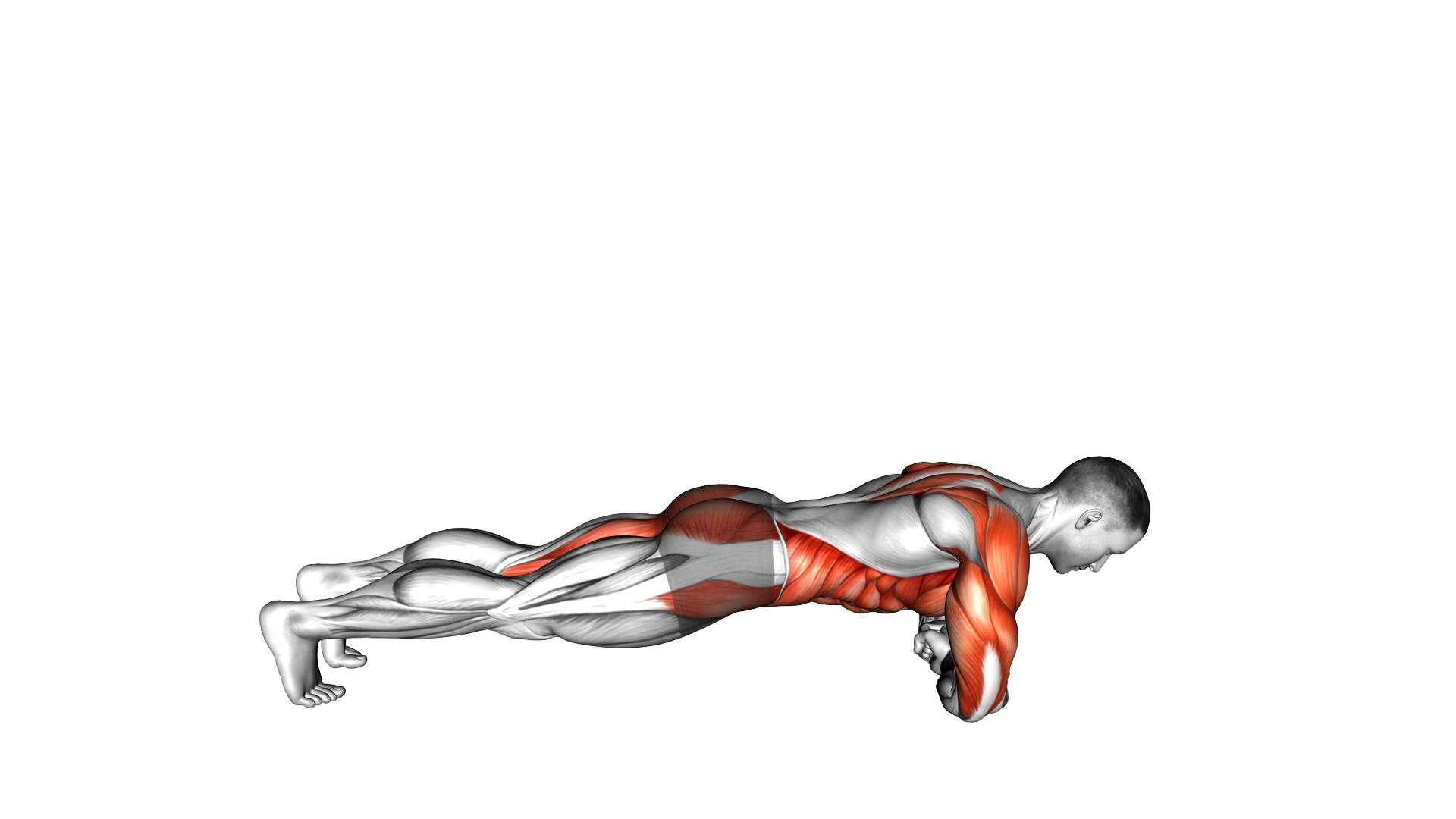 Roll Press Plank exercise demonstration