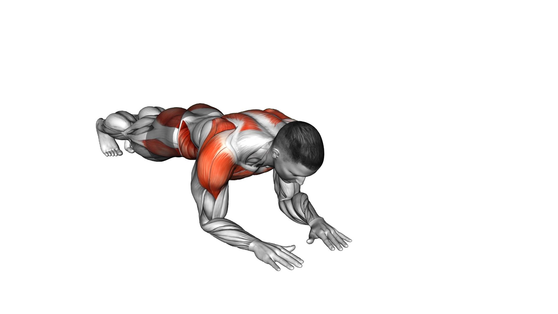 Lateral Elbow Plank Walk exercise demonstration